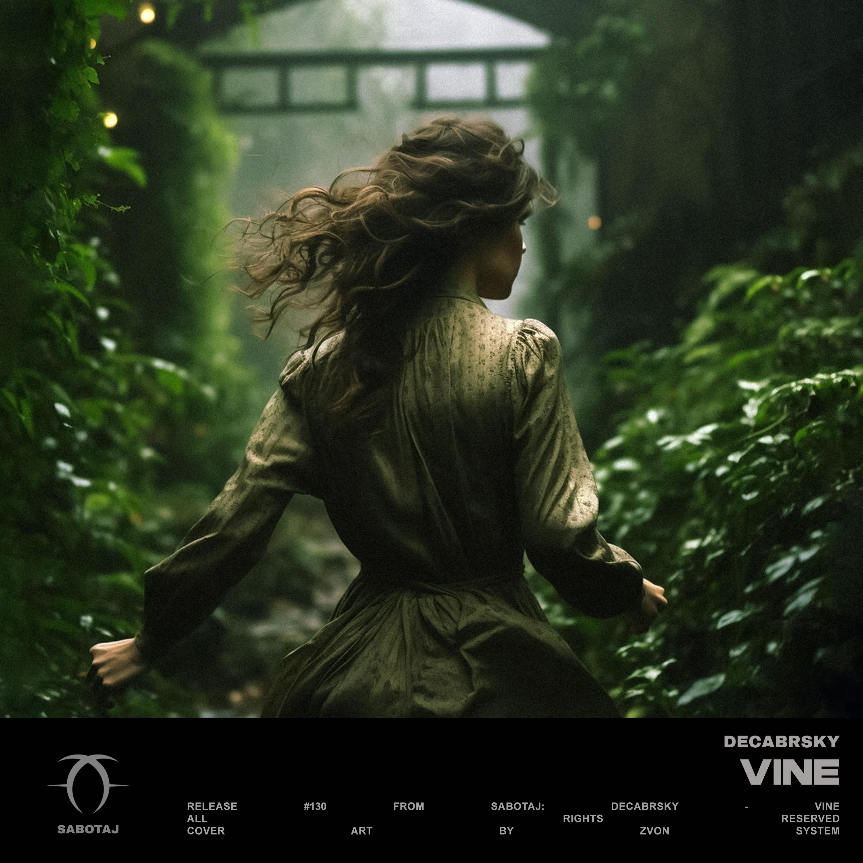 Постер альбома Vine