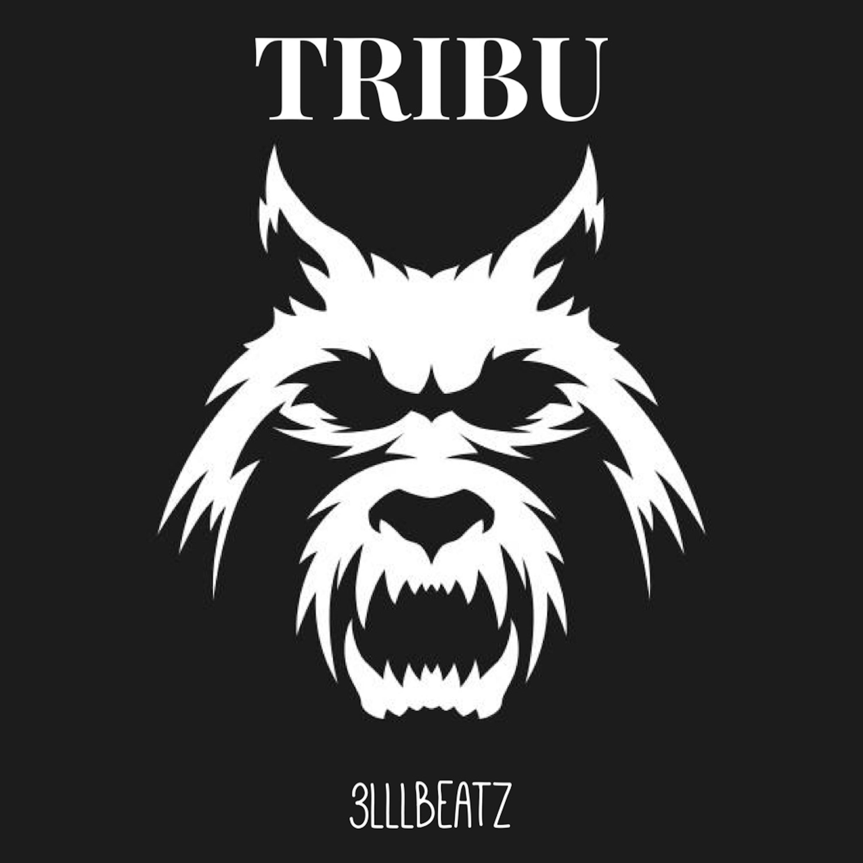 Постер альбома Tribu