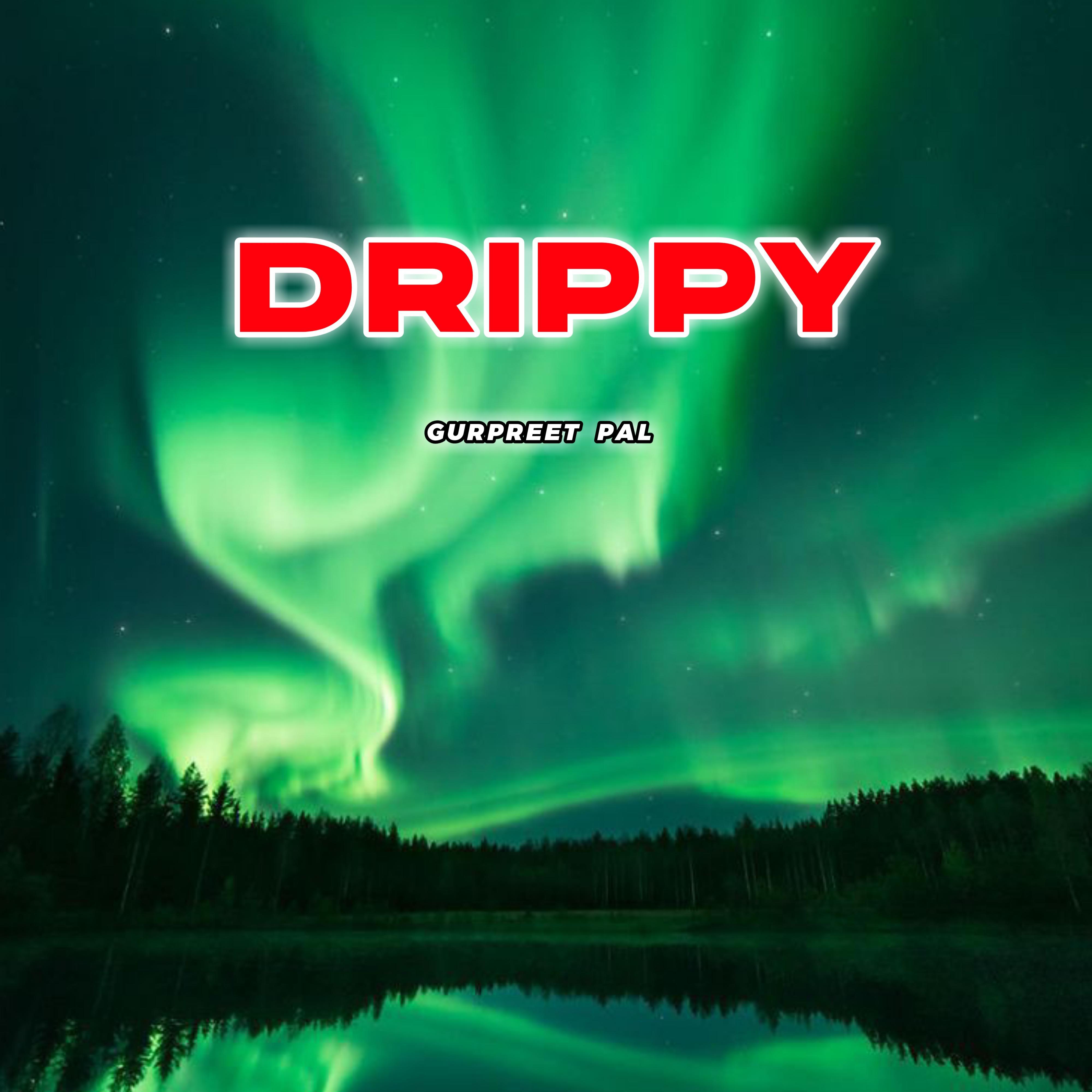 Постер альбома Drippy (feat. AR Paisley & SMW)