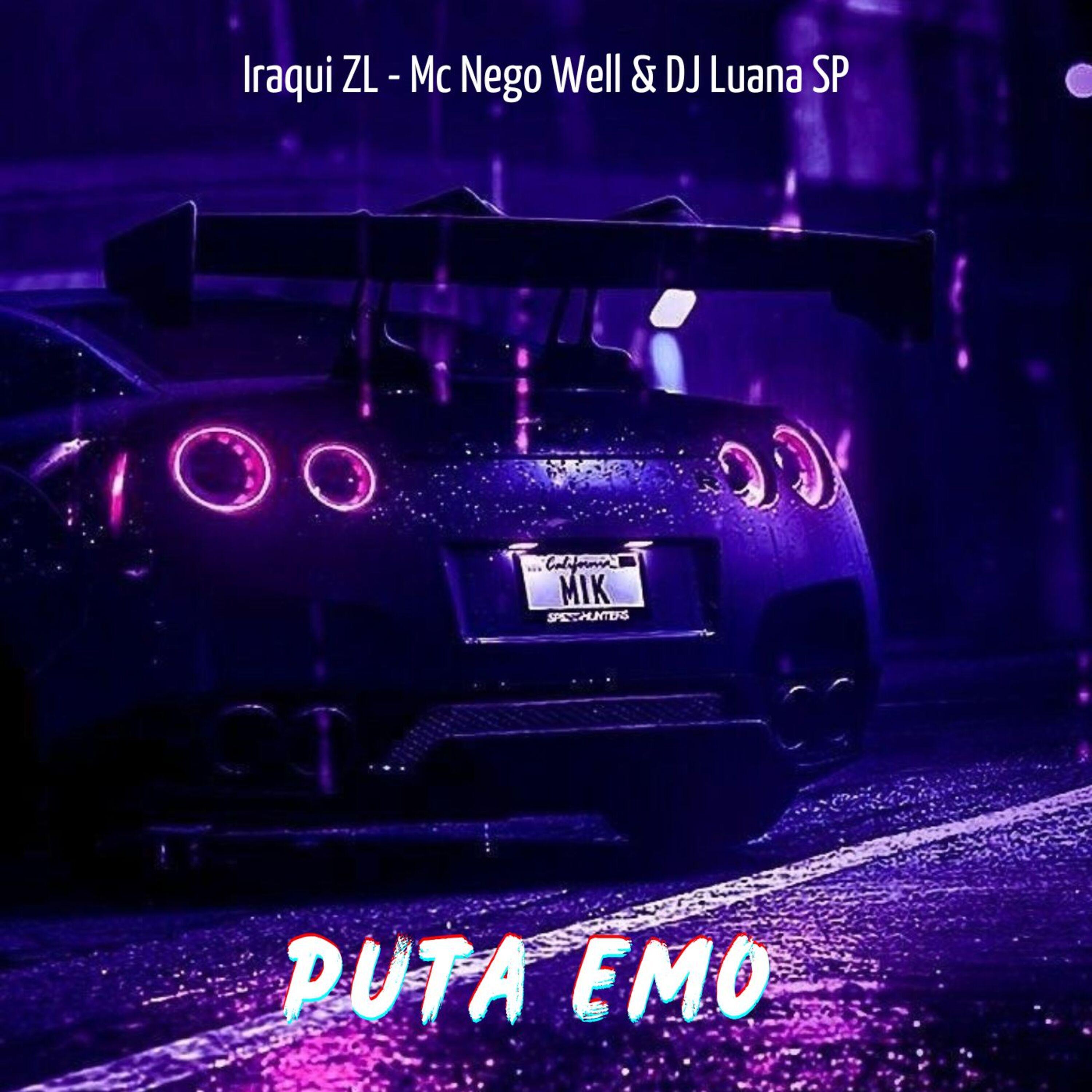 Постер альбома Puta Emo