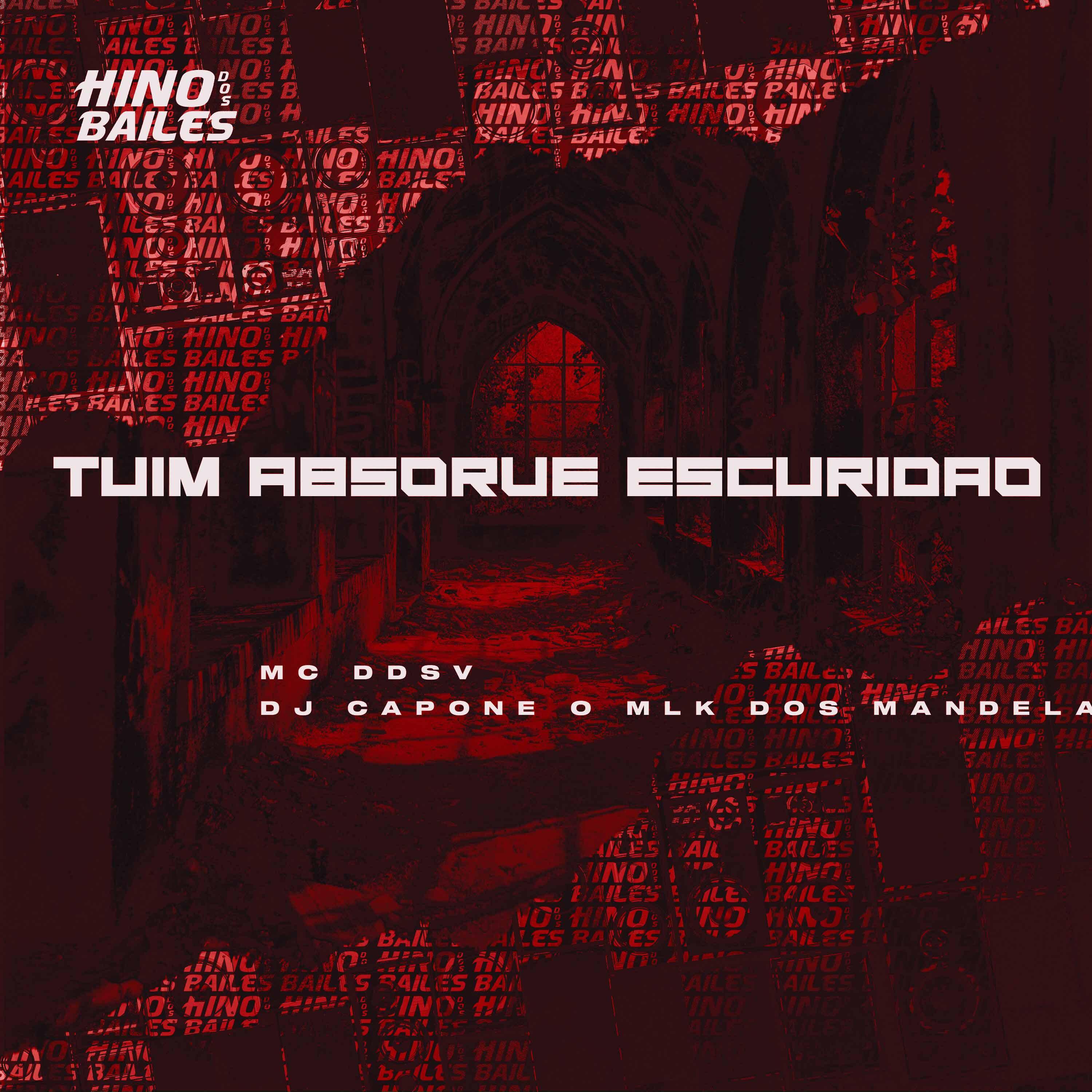 Постер альбома Tuim Absorve Escuridão
