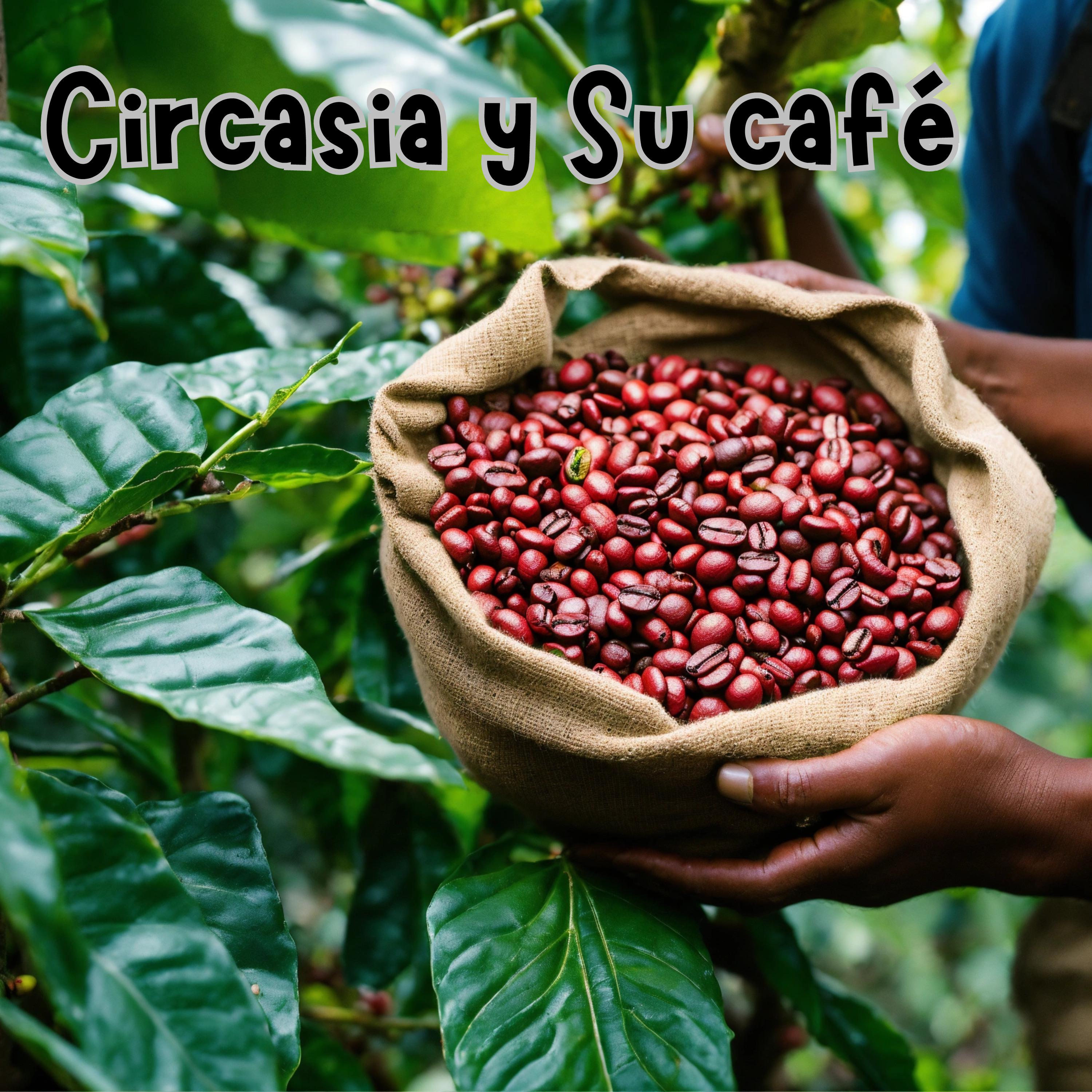 Постер альбома Circasia y Su Café