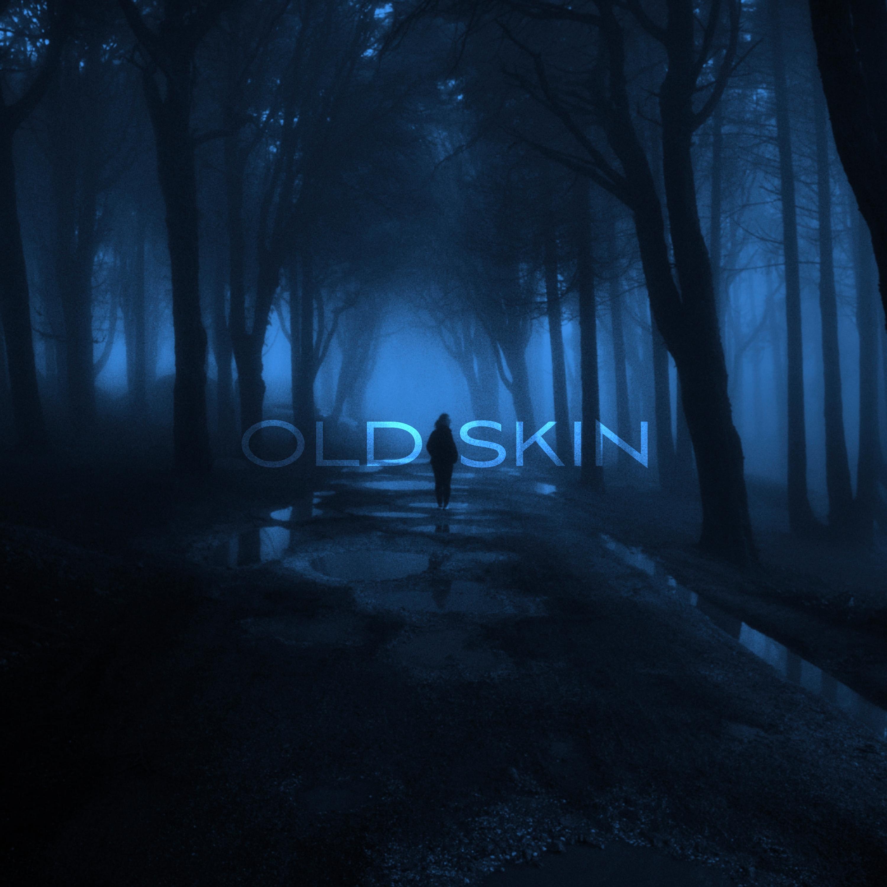 Постер альбома Old Skin