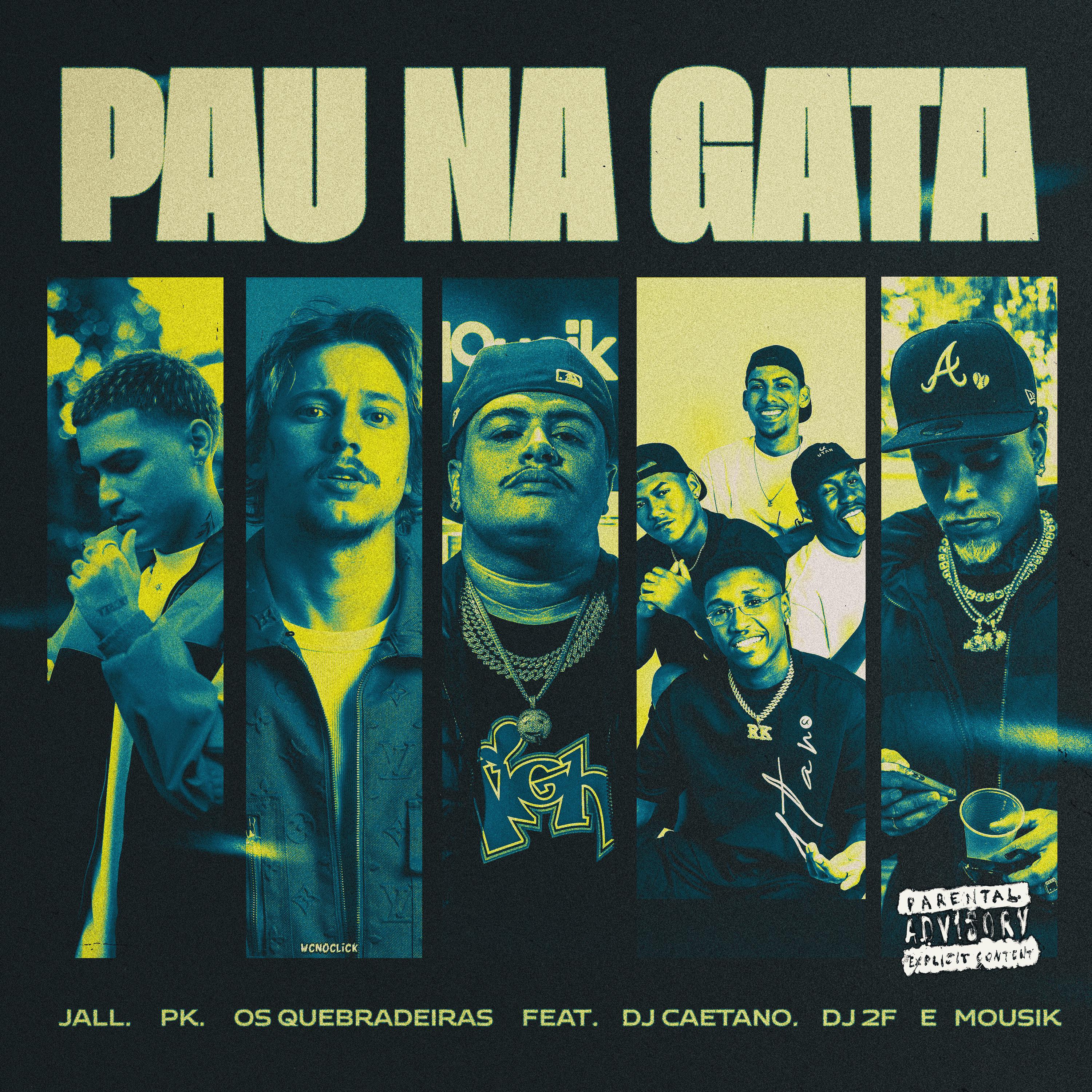 Постер альбома Pau na Gata