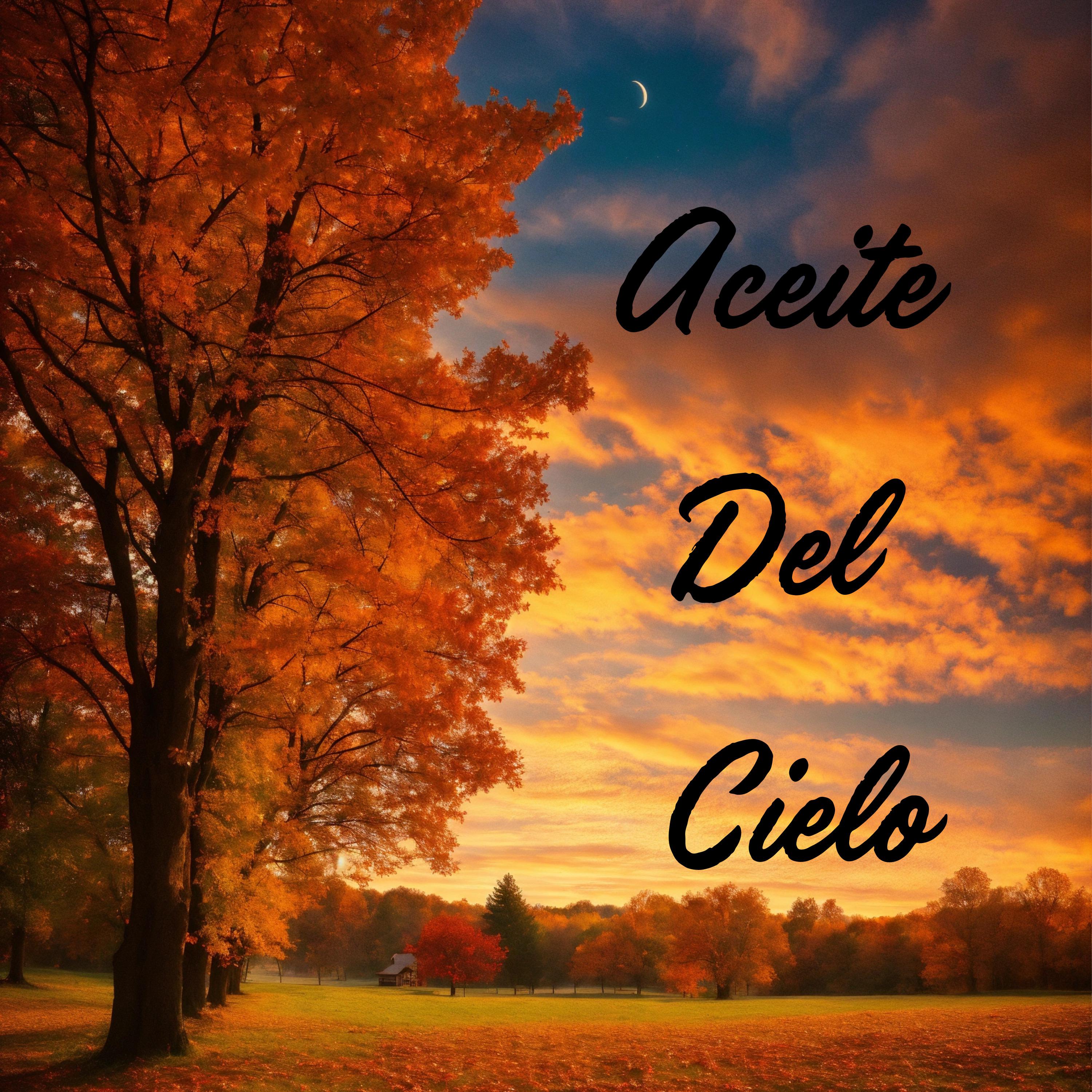 Постер альбома Aceite del Cielo