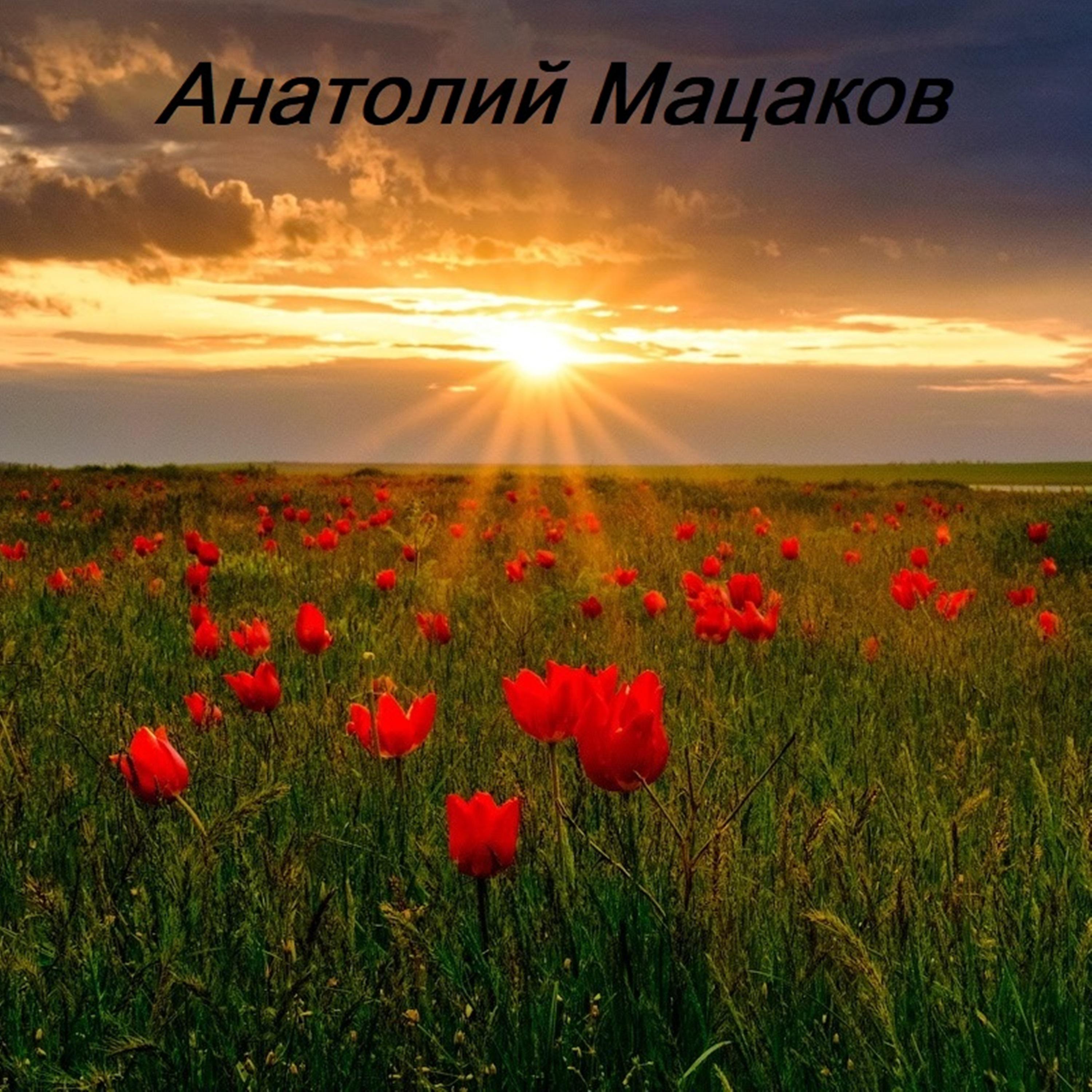 Постер альбома Анатолий Мацаков
