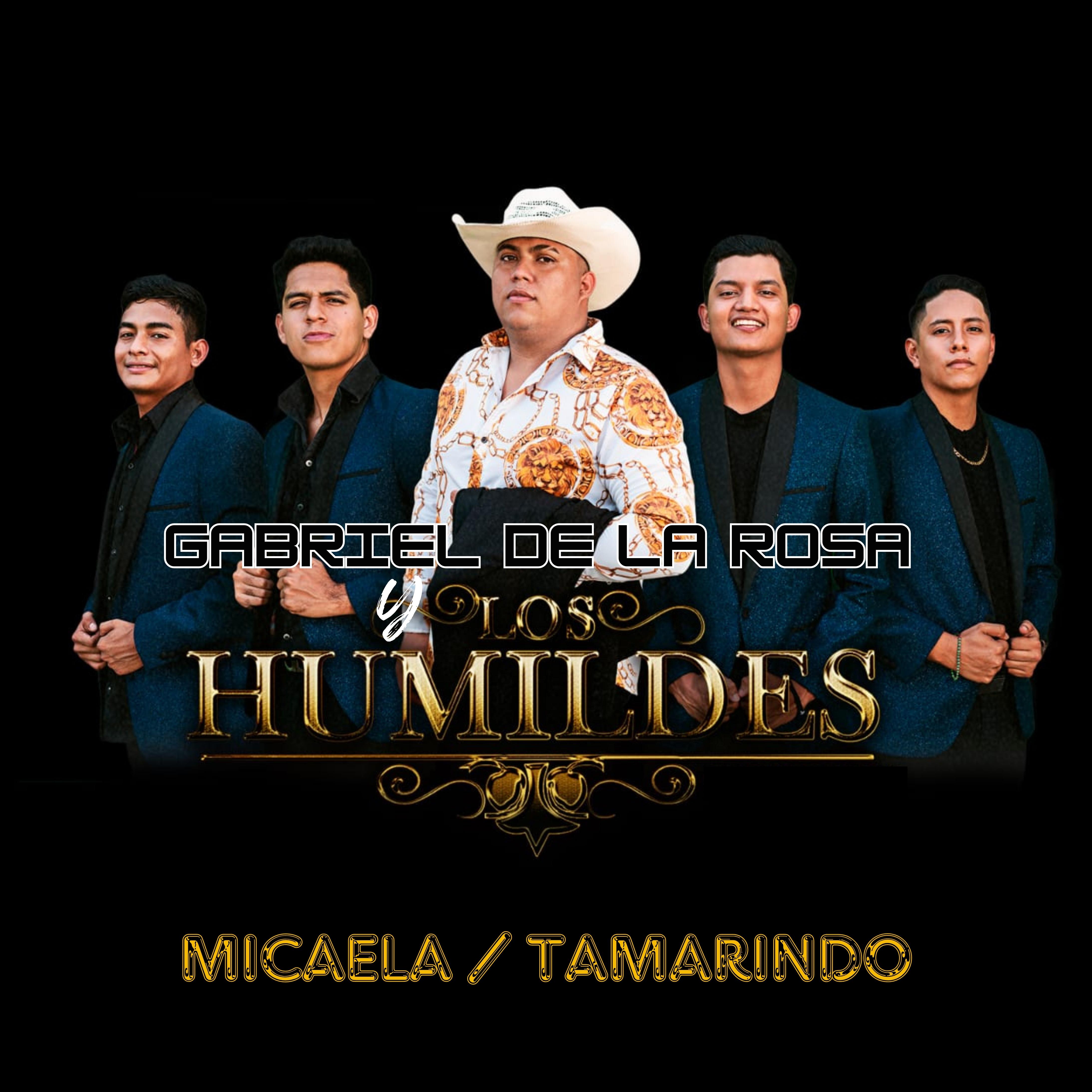 Постер альбома Micaela / Tamarindo