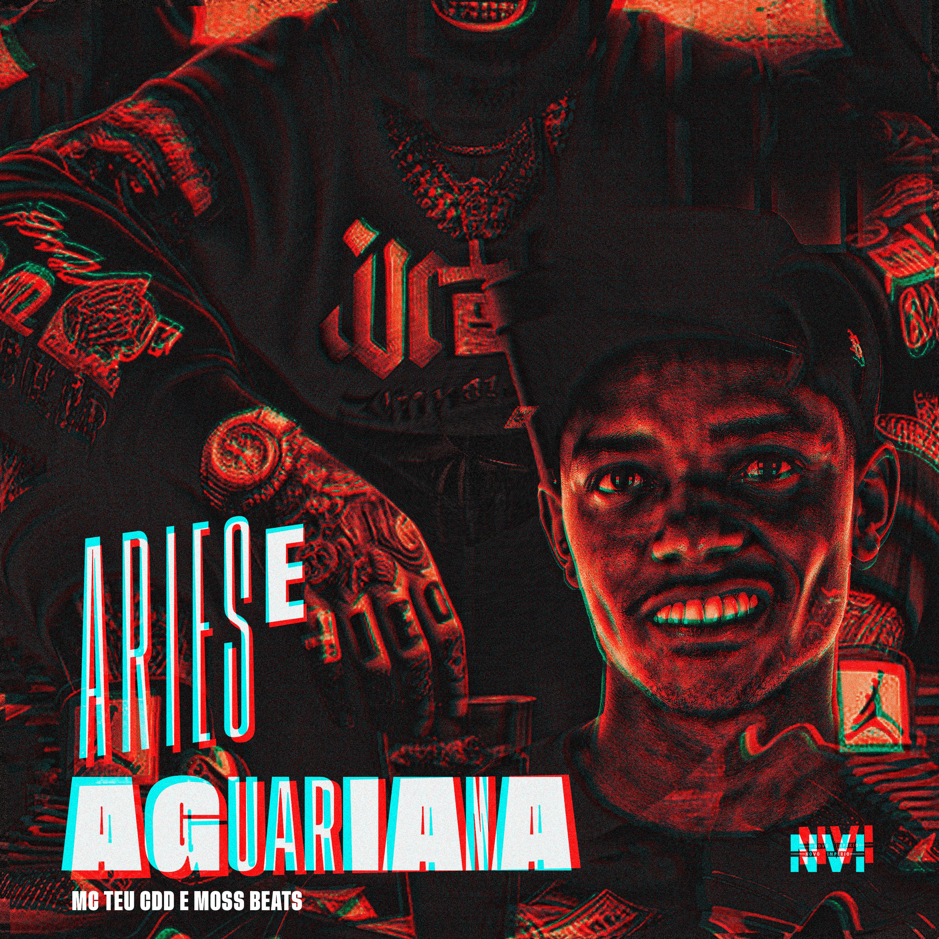 Постер альбома Aries e Aquariana