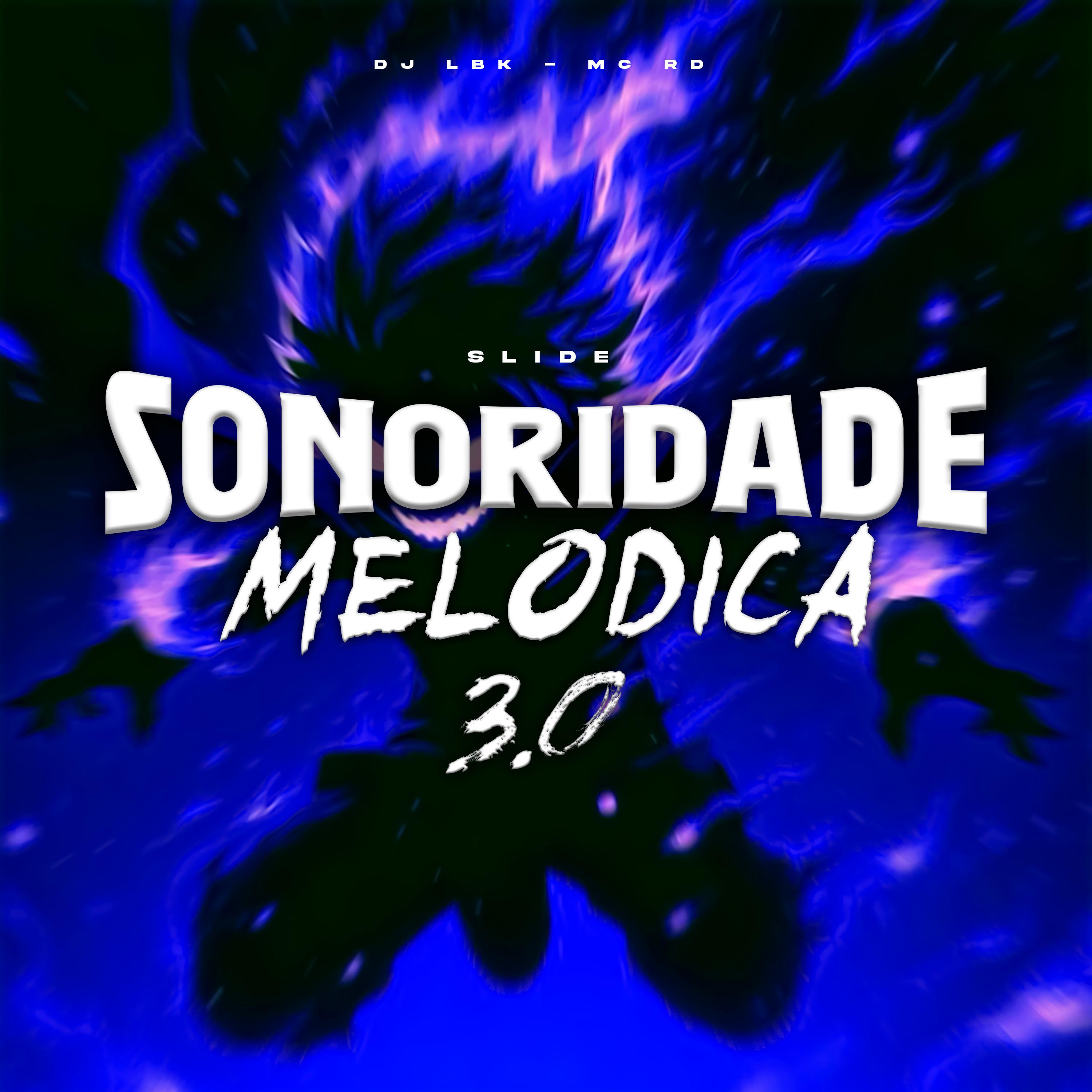 Постер альбома Slide Sonoridade Melodica 3.0