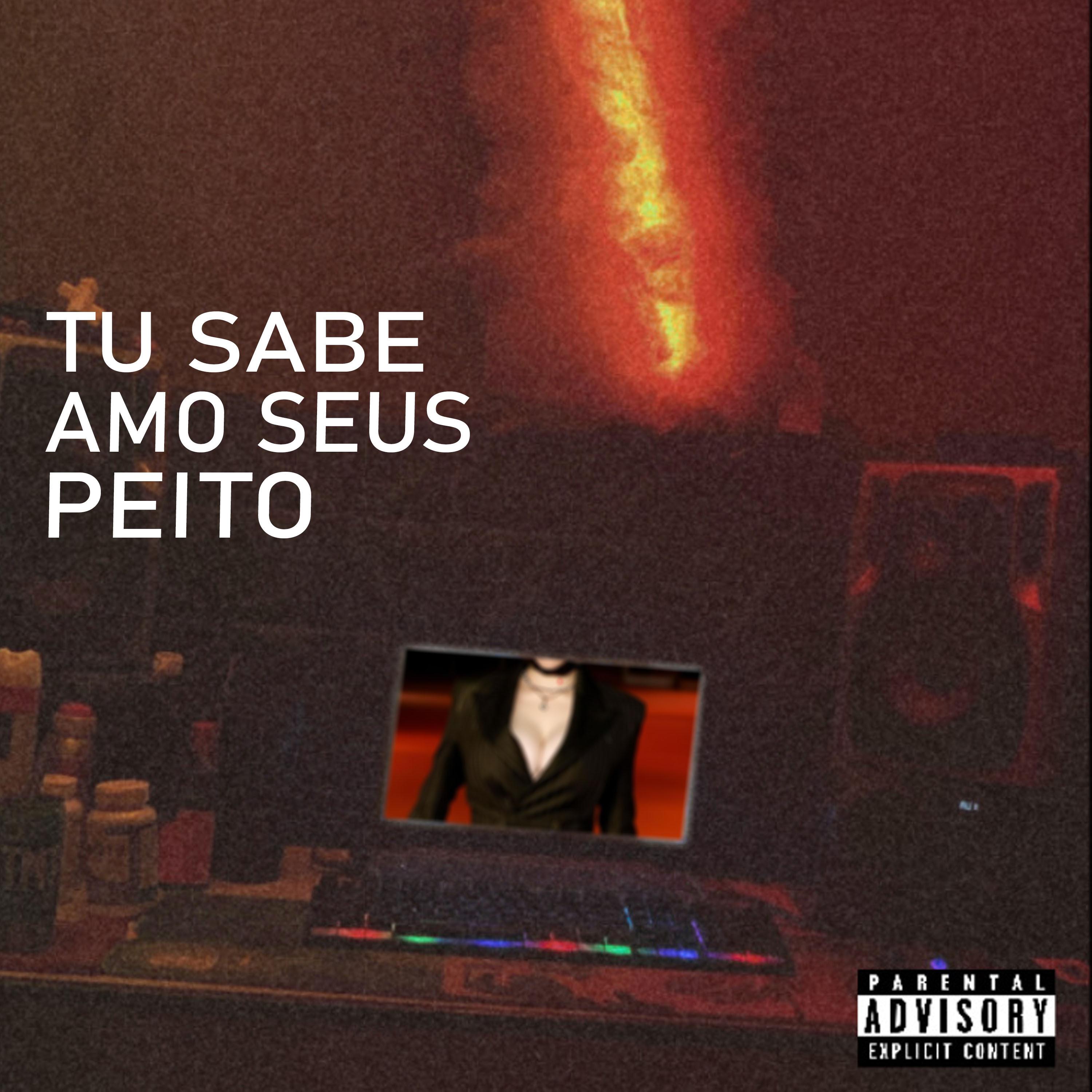 Постер альбома Tu Sabe Amo Seus Peito