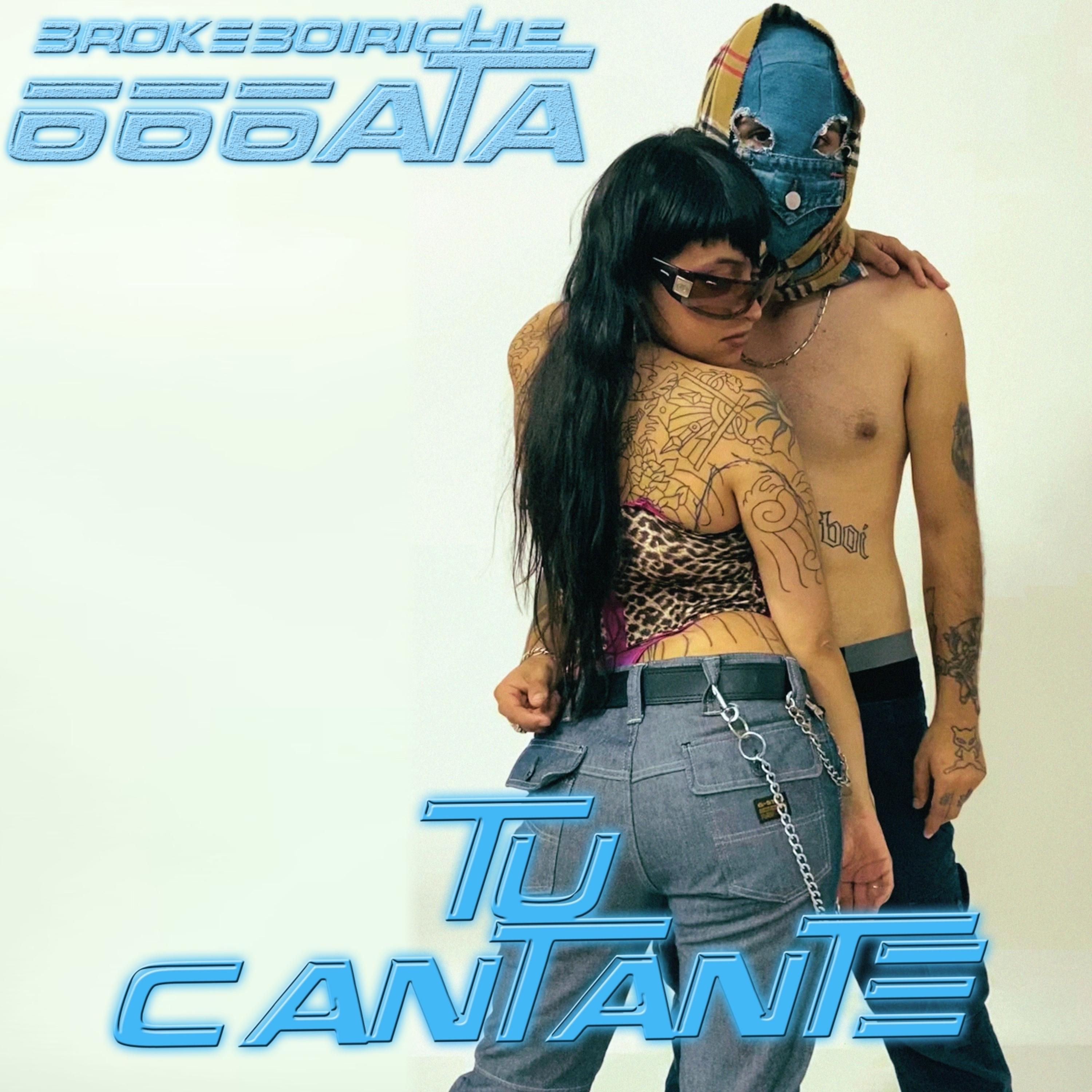 Постер альбома Tu Cantante
