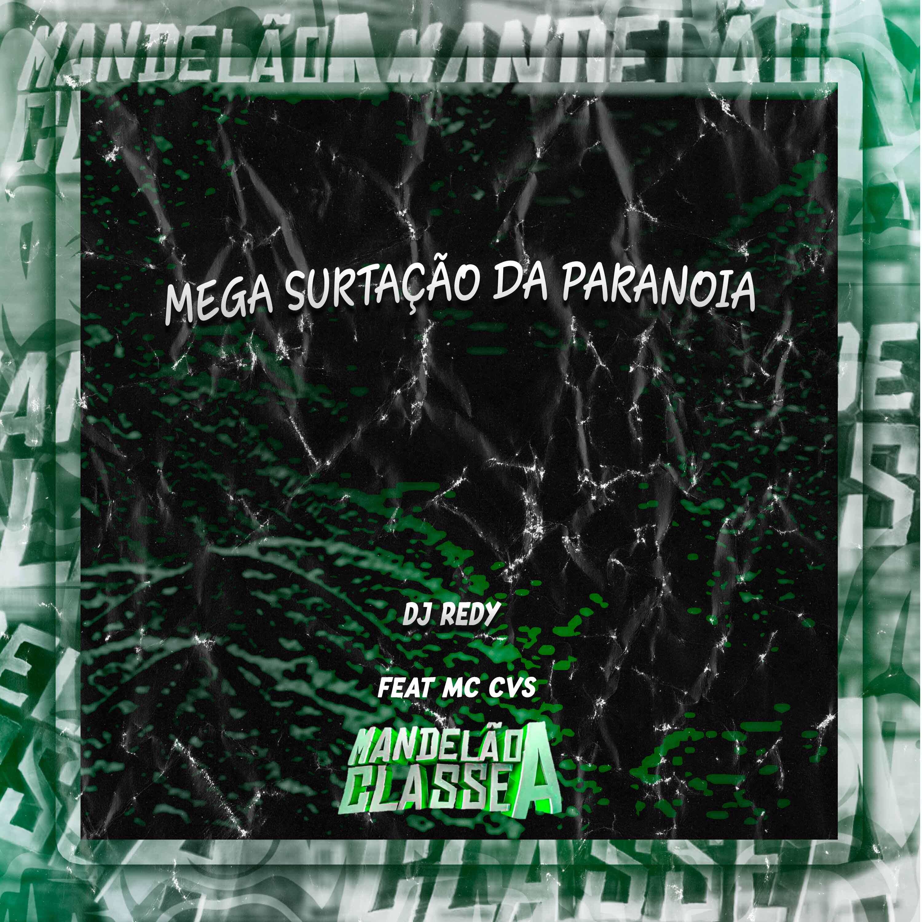 Постер альбома Mega Surtação da Paranoia