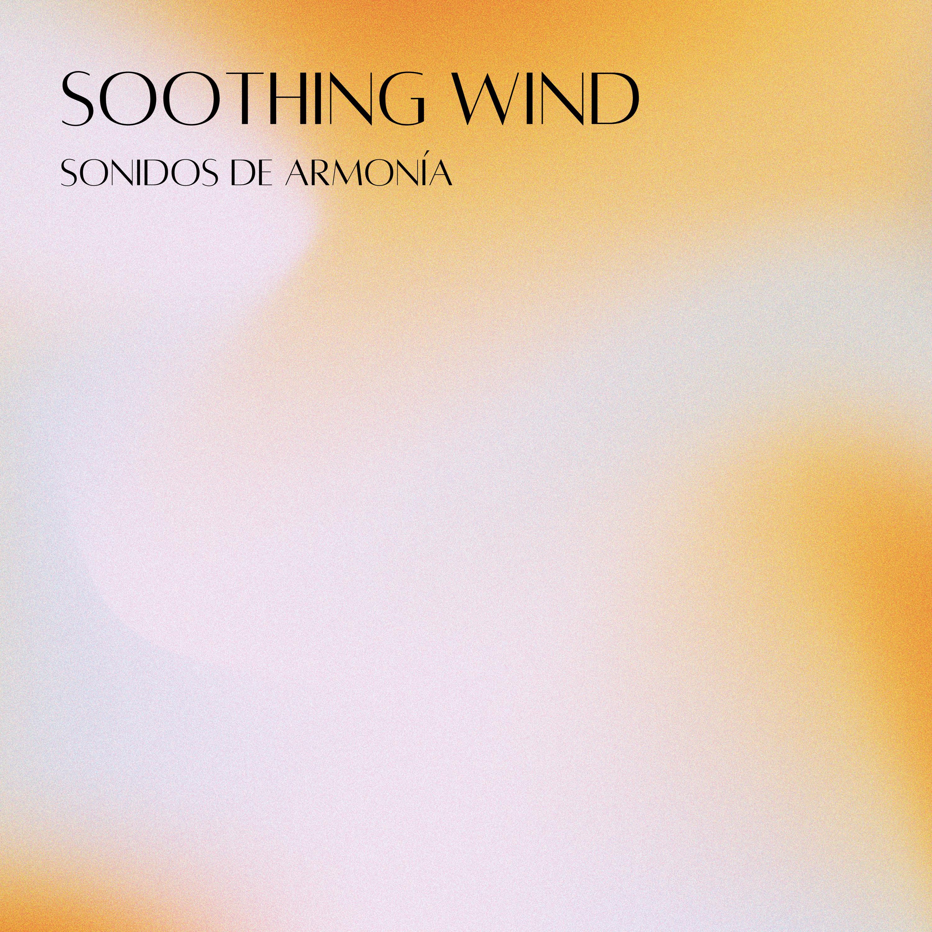 Постер альбома Soothing Wind
