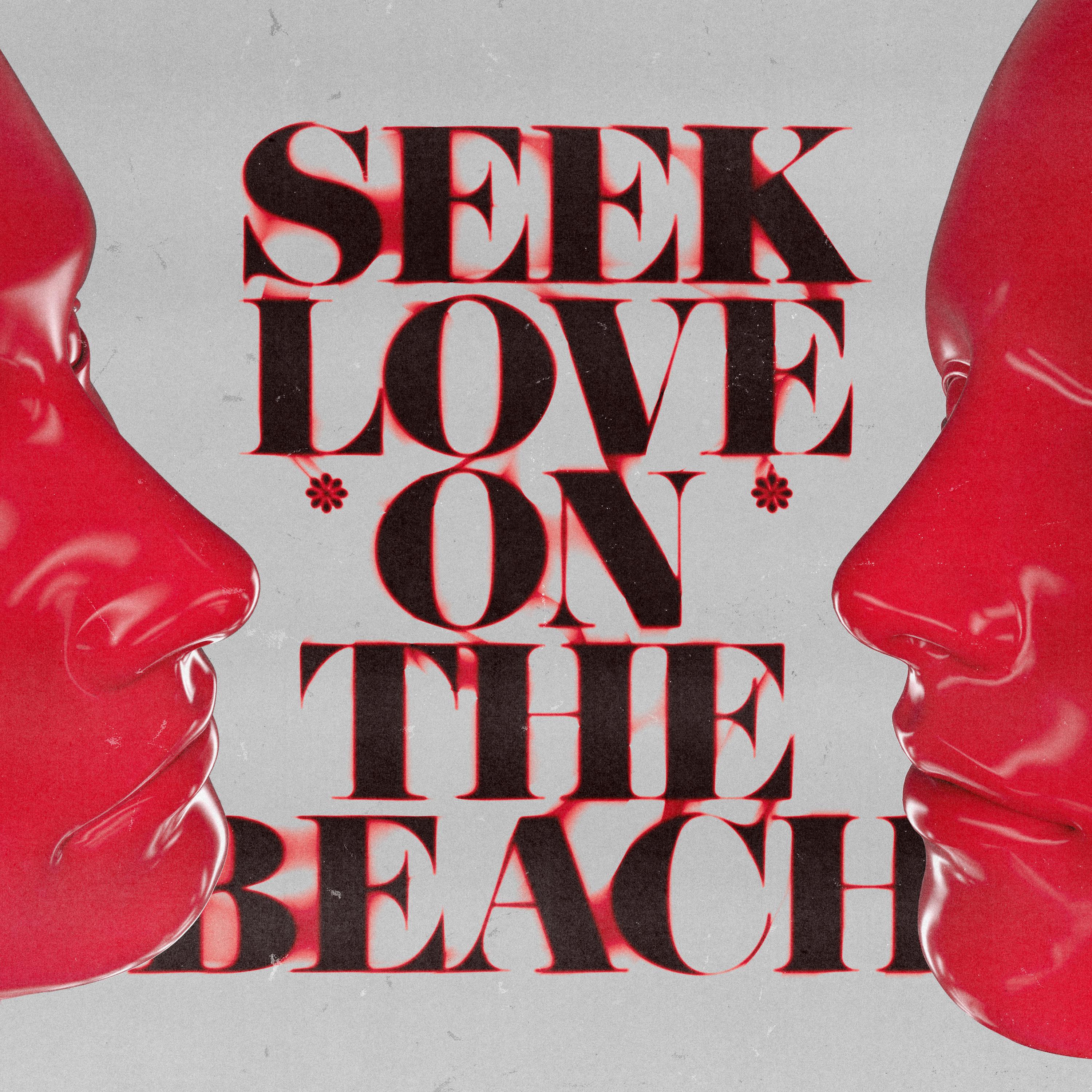 Постер альбома Seek Love (On the Beach)