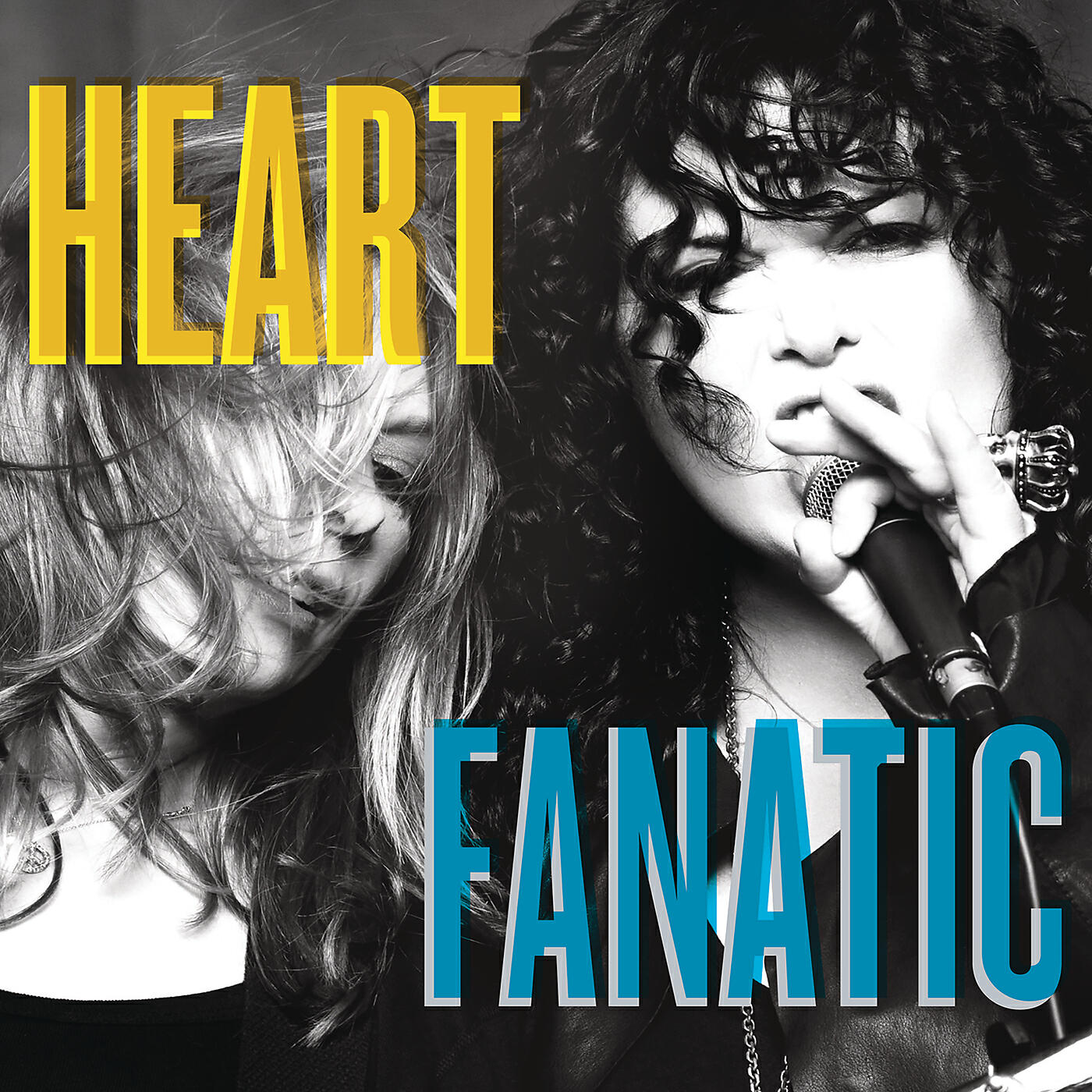 Постер альбома Fanatic