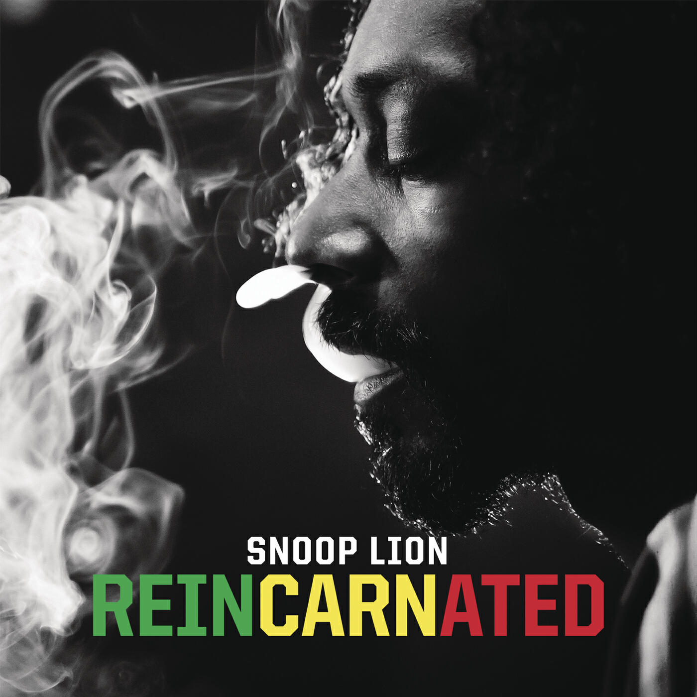 Snoop Lion - Torn Apart