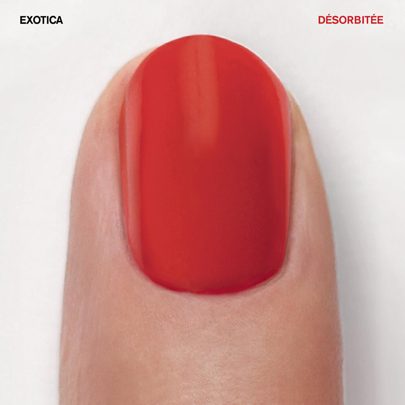 Exotica - Manimal