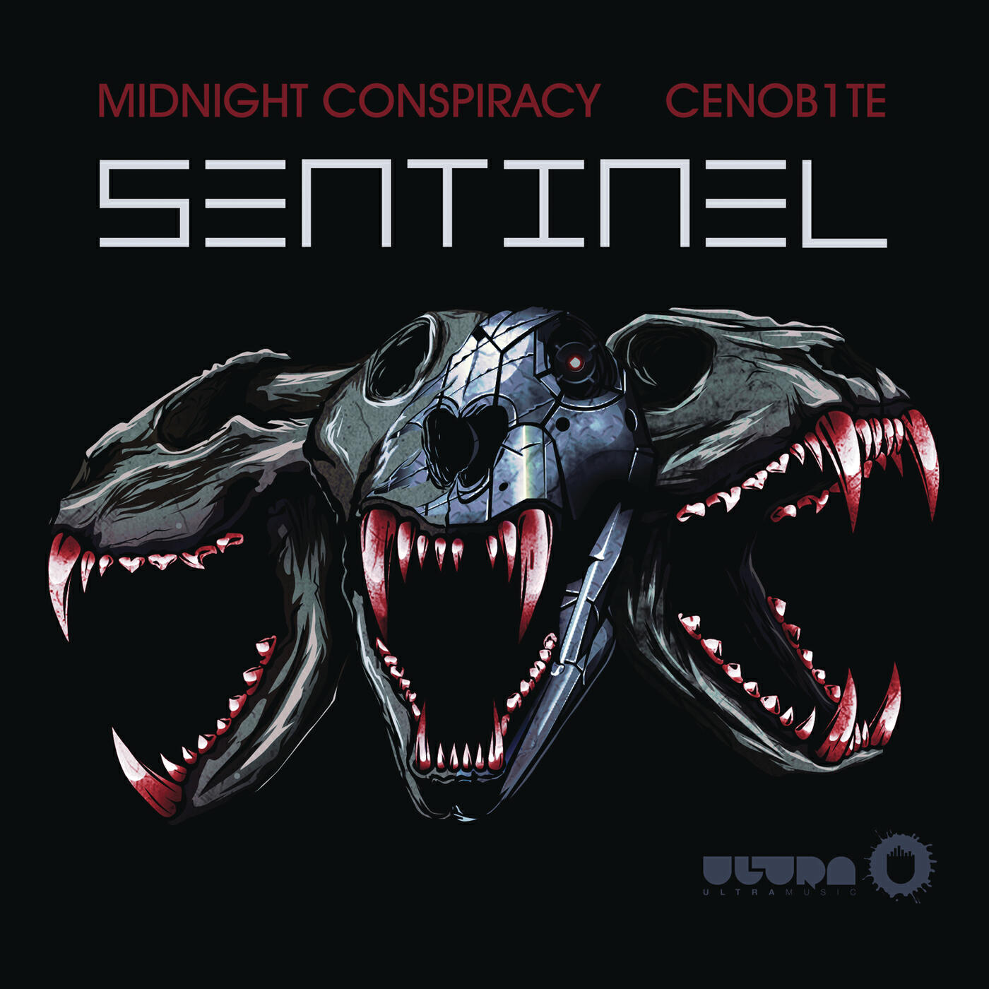 Midnight Conspiracy - Sentinel (Original Mix)