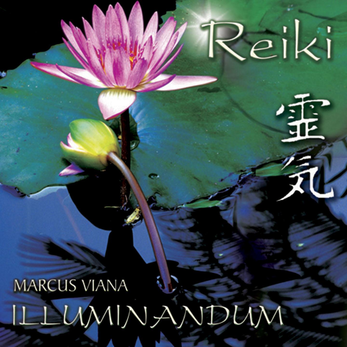 Постер альбома Reiki, Vol. 1