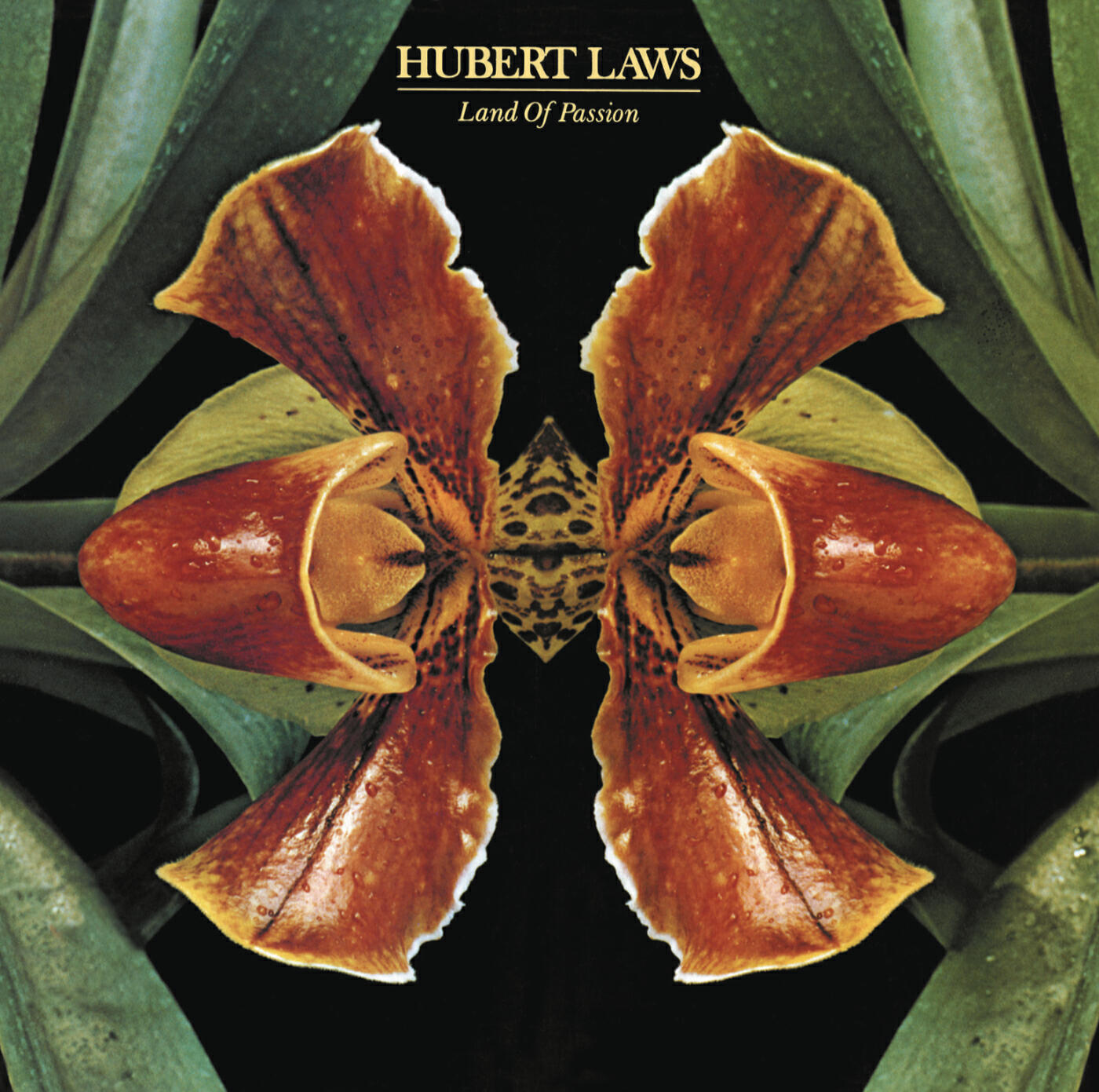 Hubert Laws - The Key