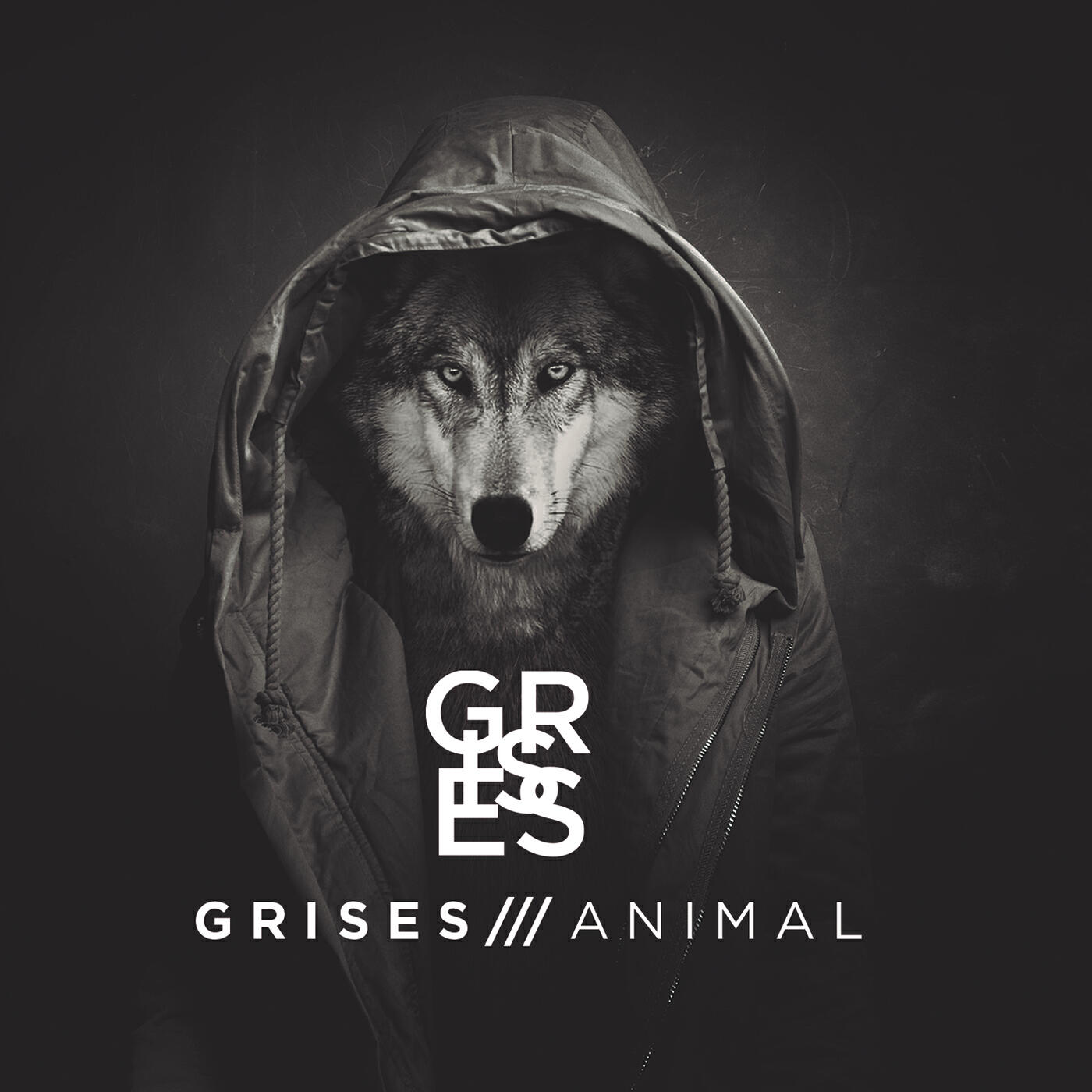 Grises - Mork