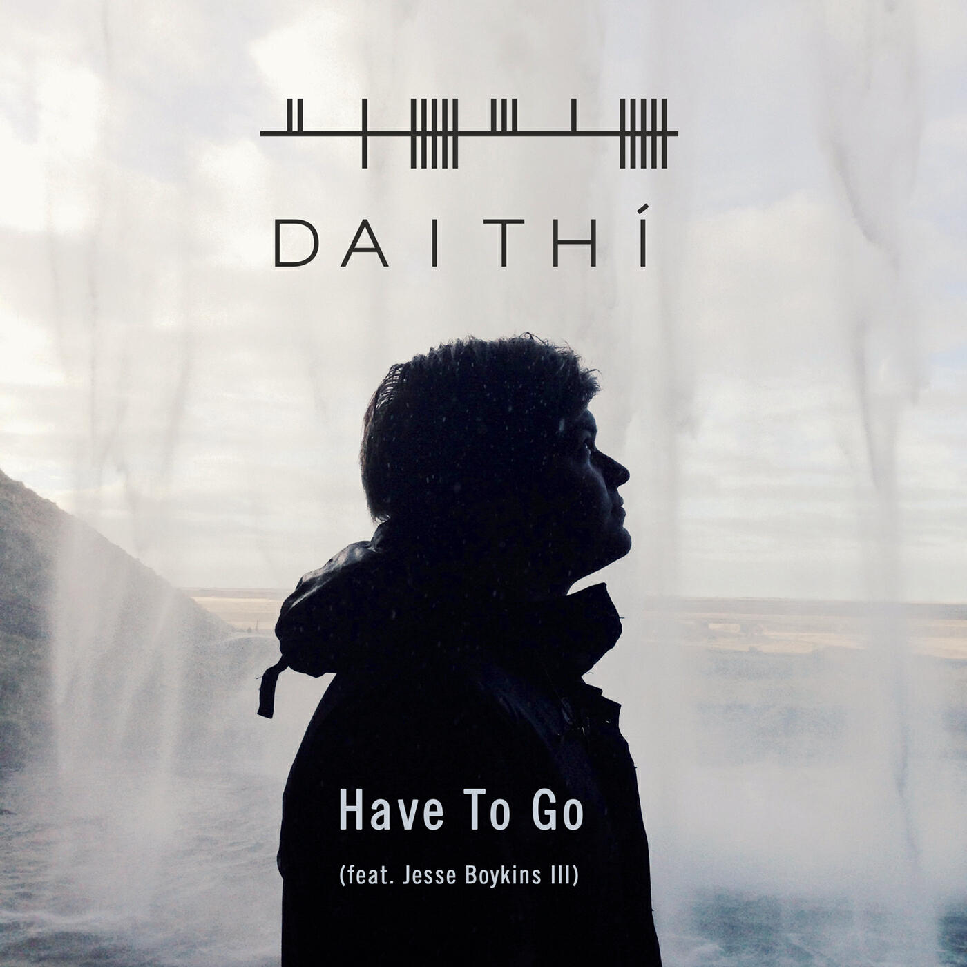 Daithí - Have to Go
