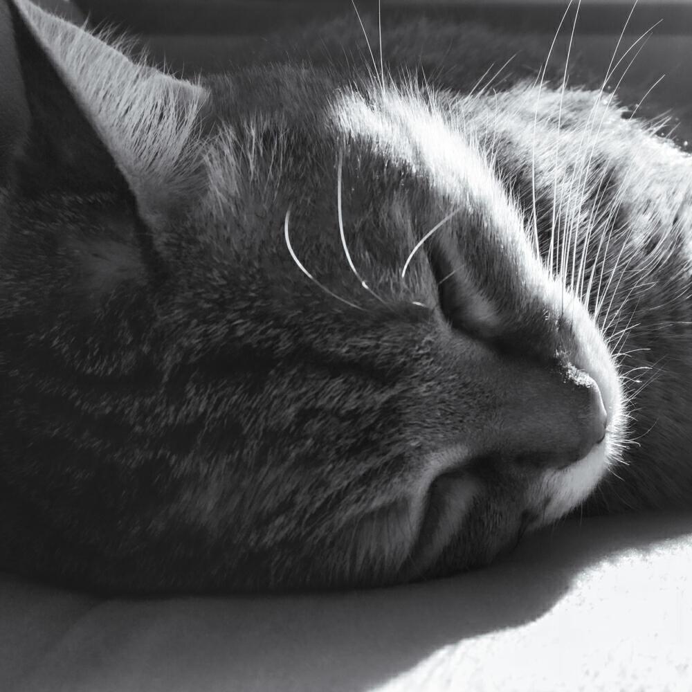 Stoto все песни в mp3