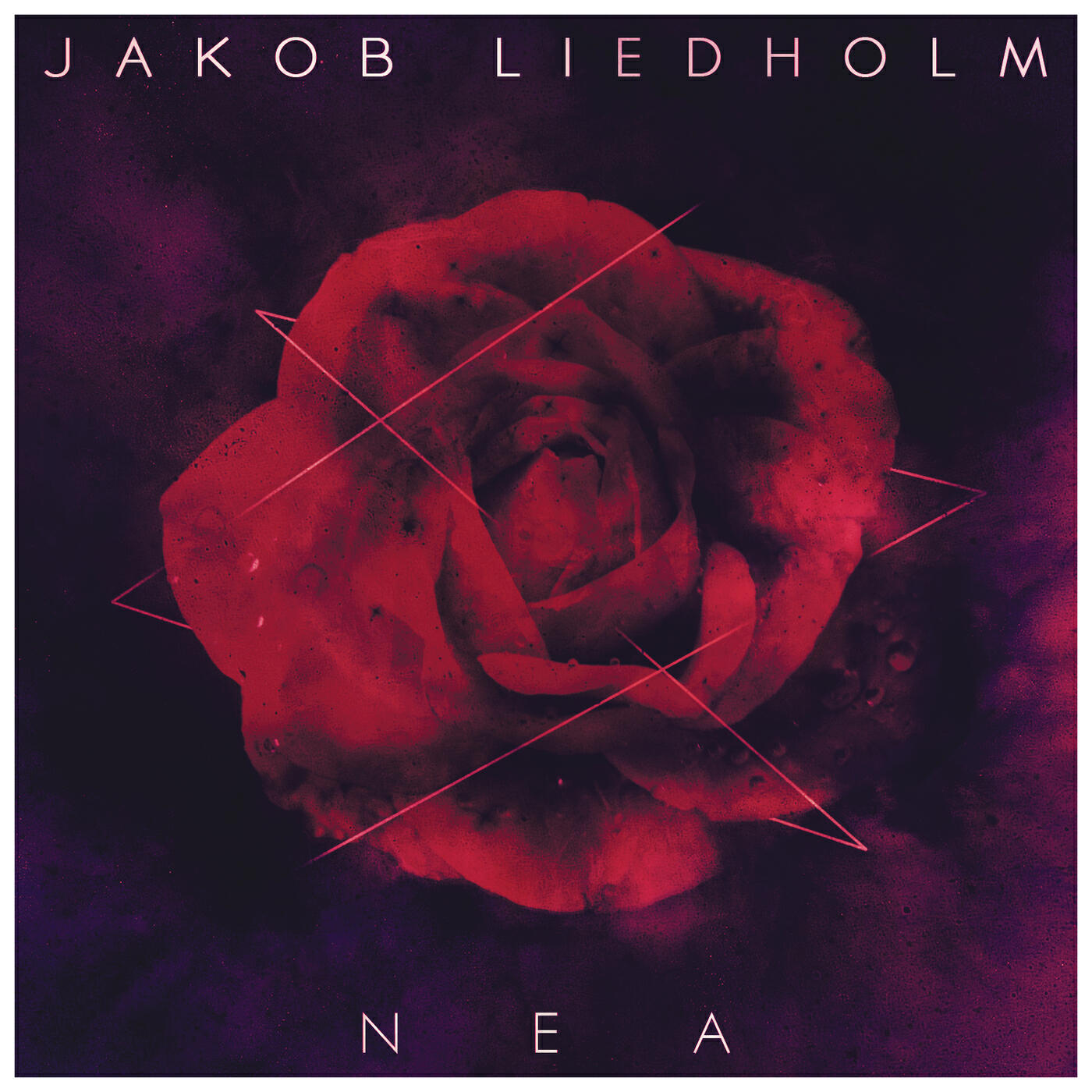Jakob Liedholm - NEA