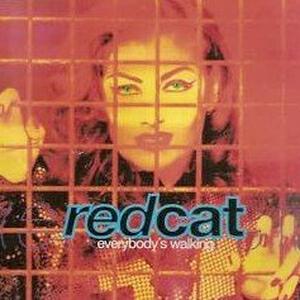 Red cat русский. Red Cat ВК. Red Cat Кирилл. GK_Redcat. Рэд Кэт новая одежда рок группы.