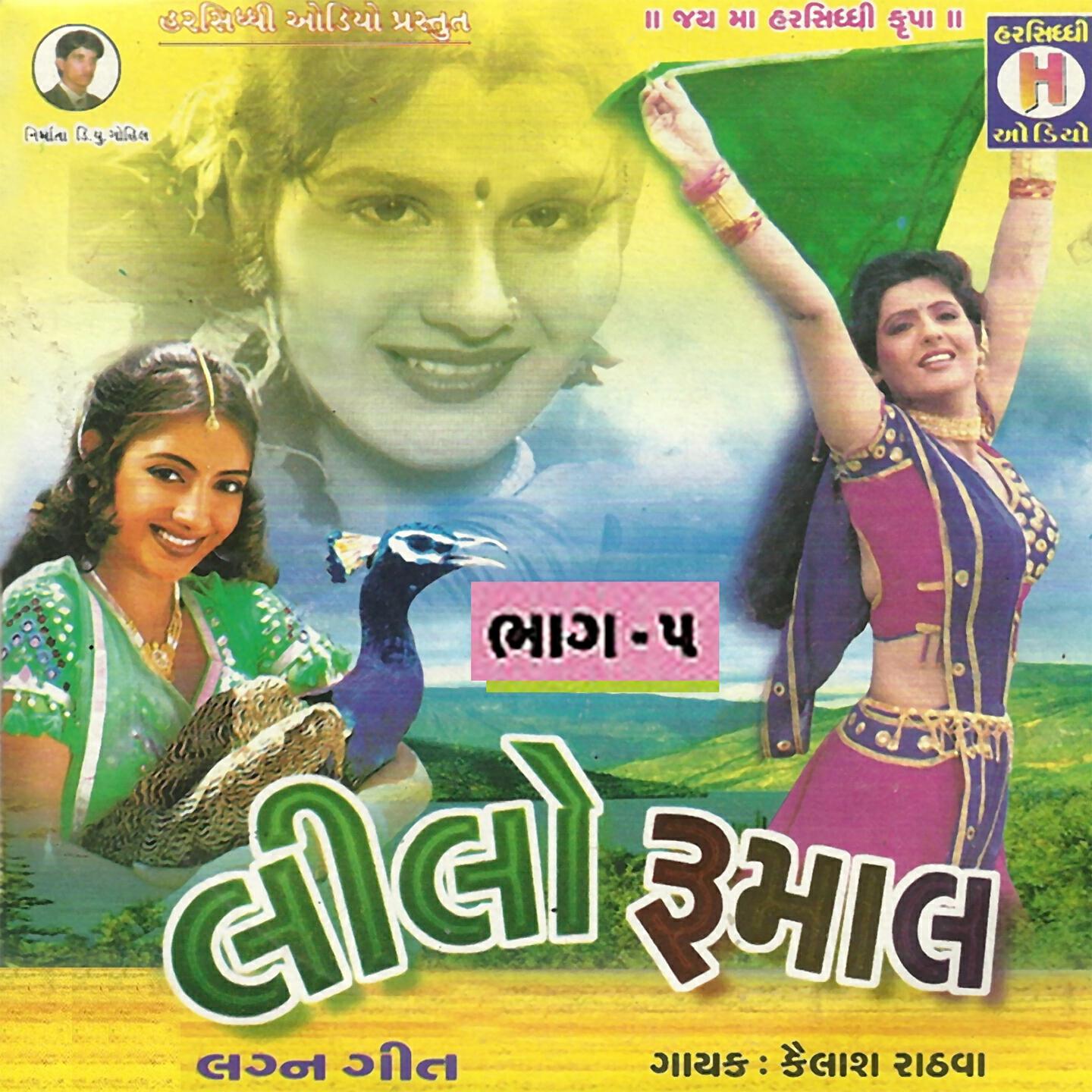 Kailash Rathwa - Viro Mange Amdavad Vaja