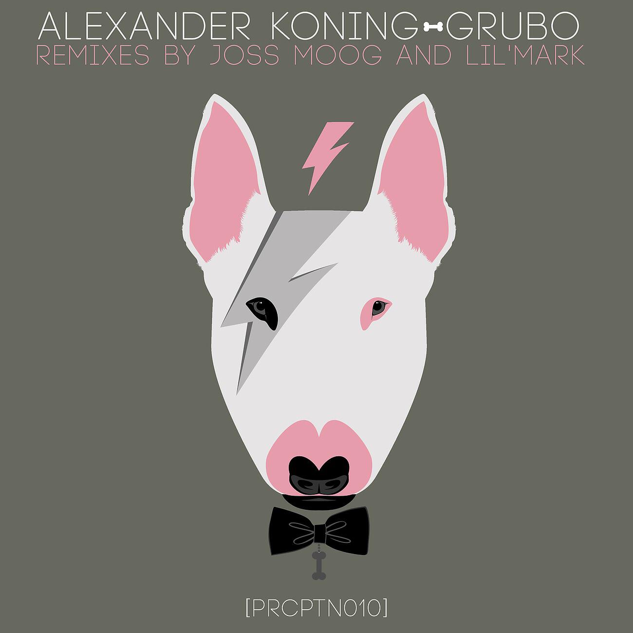 Alexander Koning - GruBo (Joss Moog Dub)