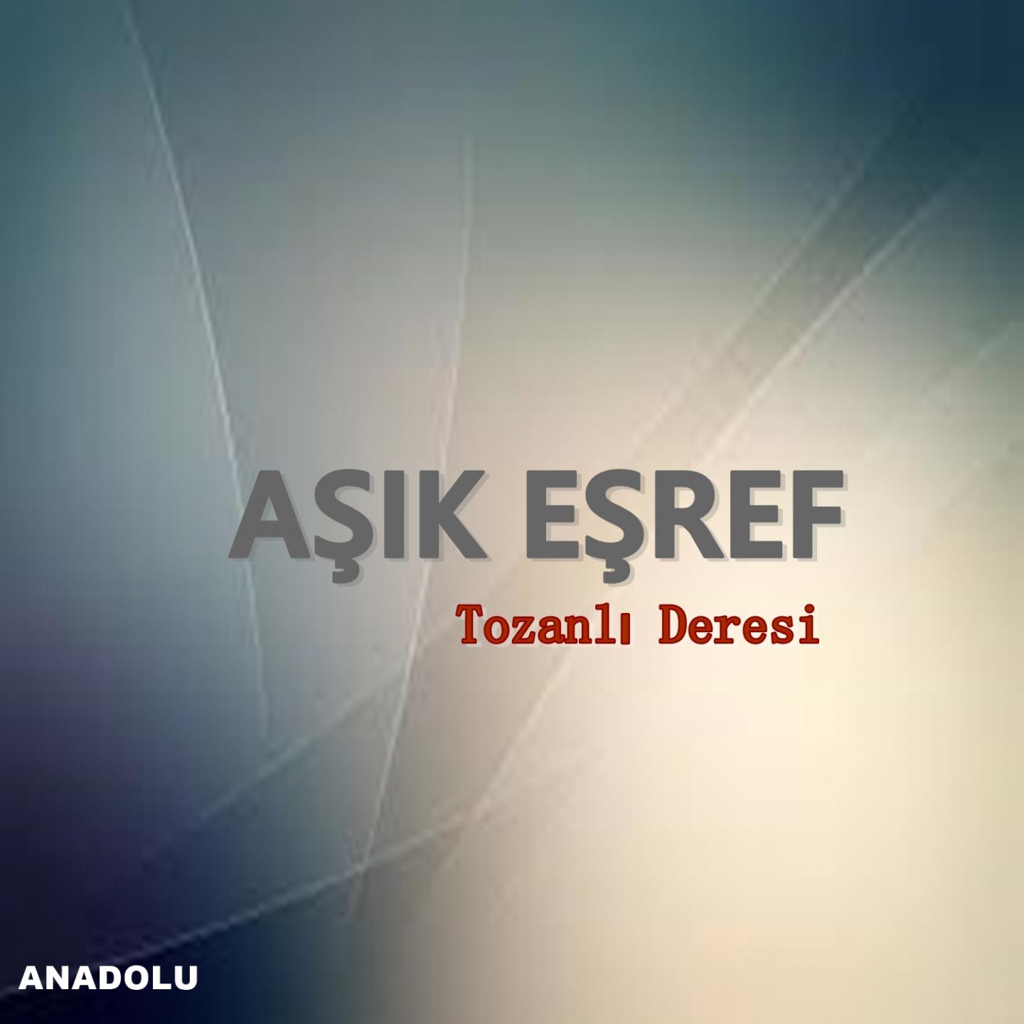 Постер альбома Tozanlı Deresi