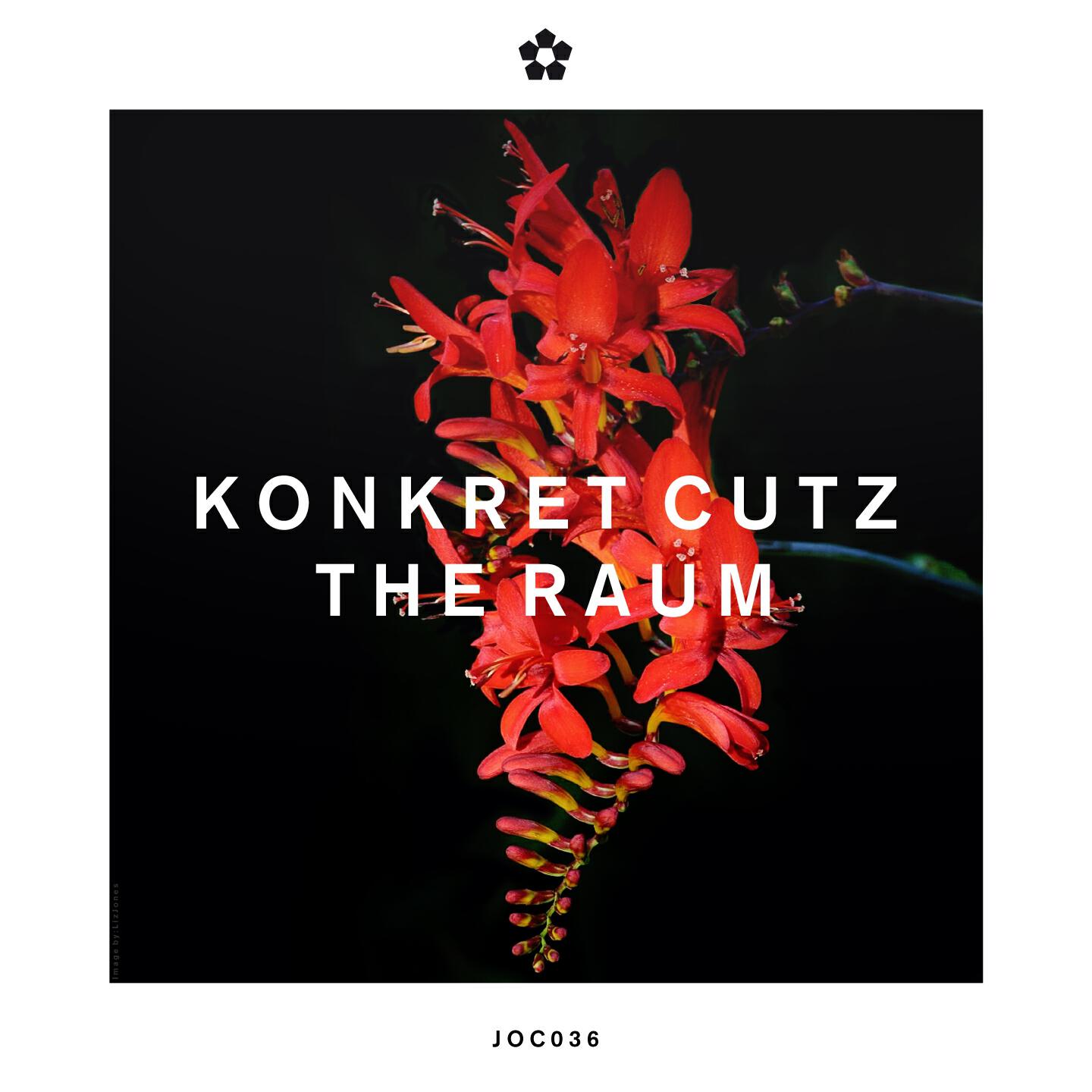 Konkret Cutz - Kosmonauten