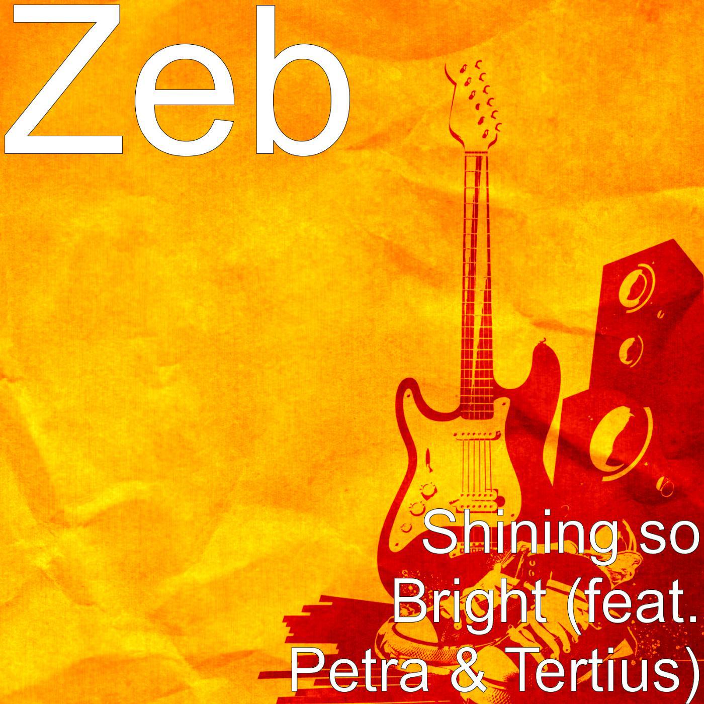 Постер альбома Shining so Bright (feat. Petra & Tertius)