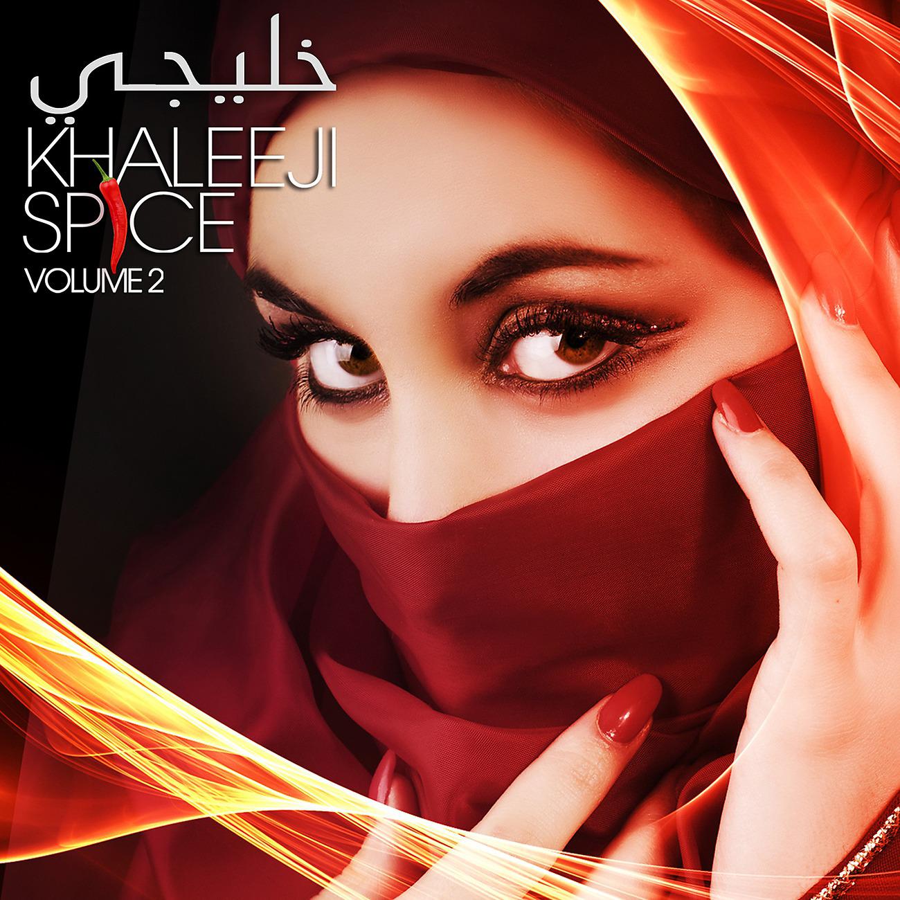 Постер альбома Khaleeji Spice vol 2