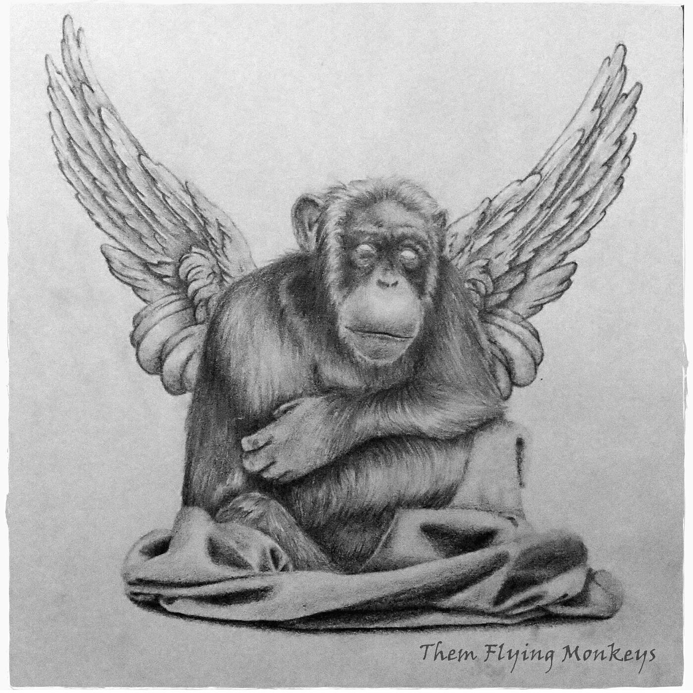 Them Flying Monkeys - Lost the Plot