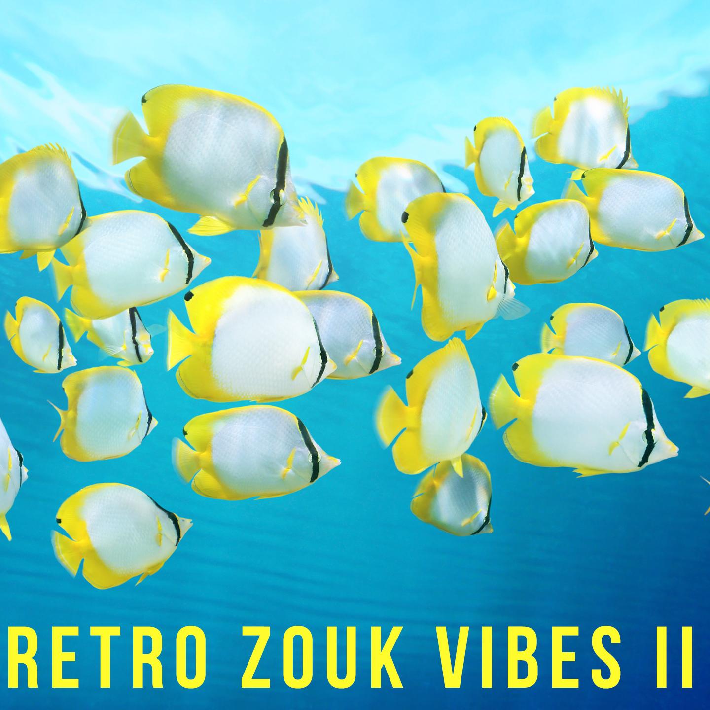 Постер альбома Retro Zouk Vibes, Vol. 2