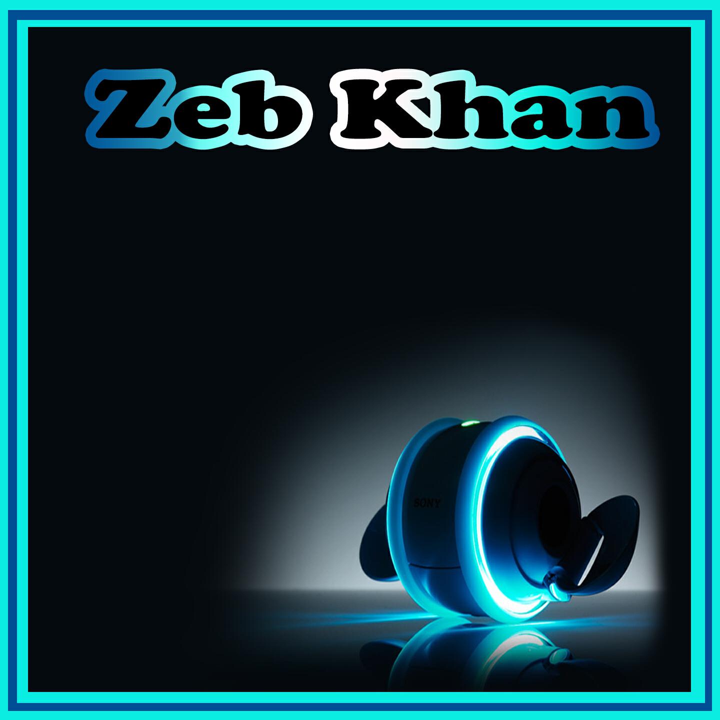 Zeb Khan - Sok Pa Nazoono Mayan