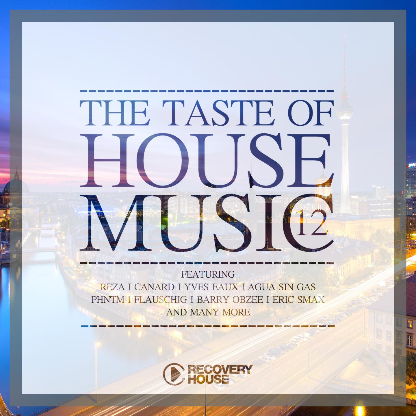 Постер альбома The Taste of House Music, Vol. 12