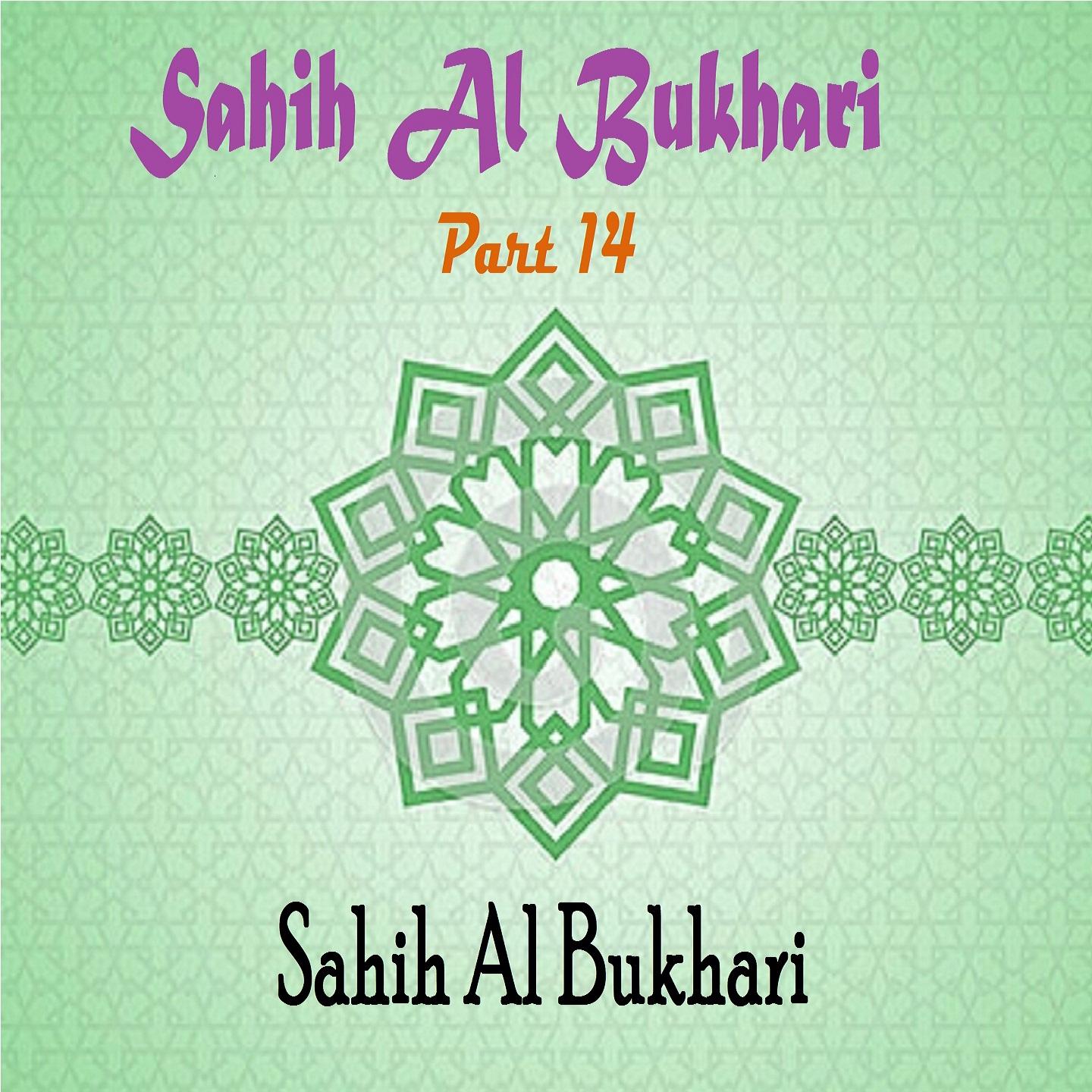 Постер альбома Sahih Al Bukhari Part 14