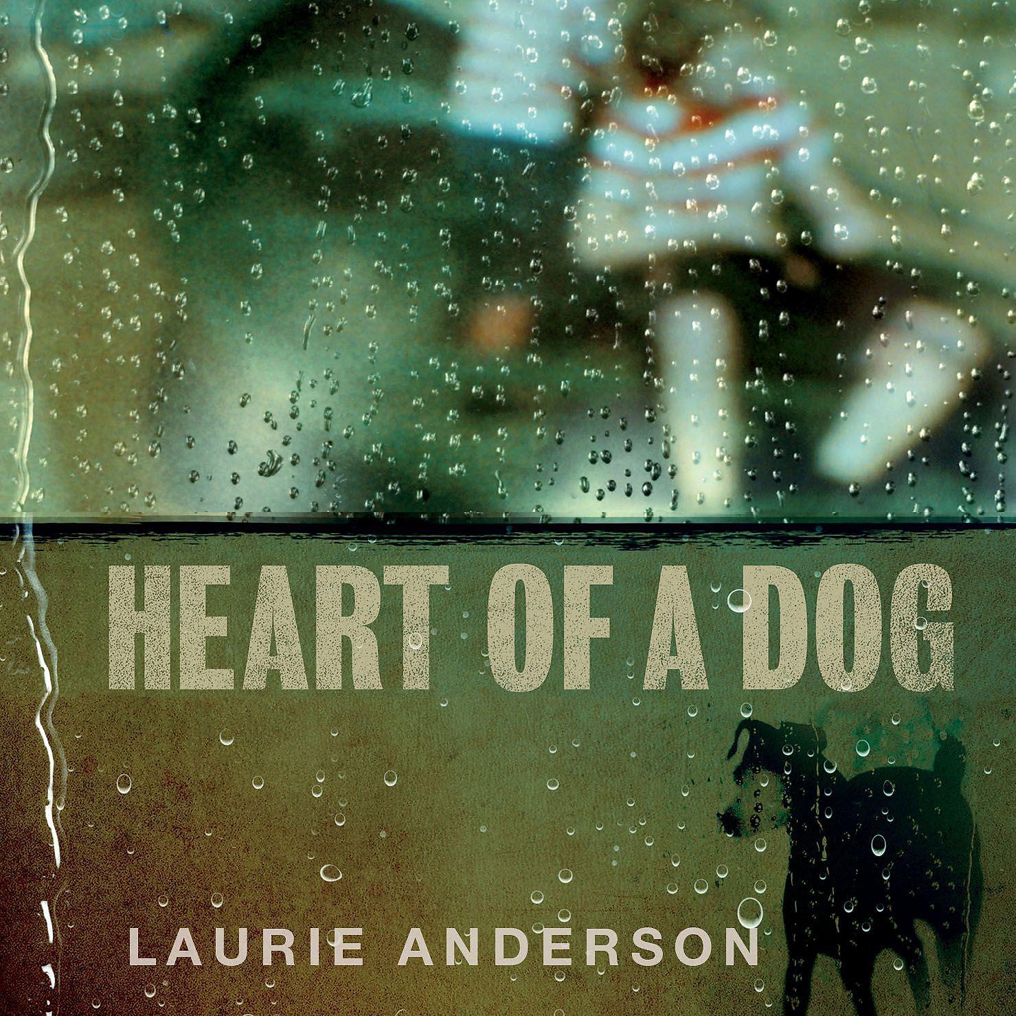 Постер альбома Heart of a Dog