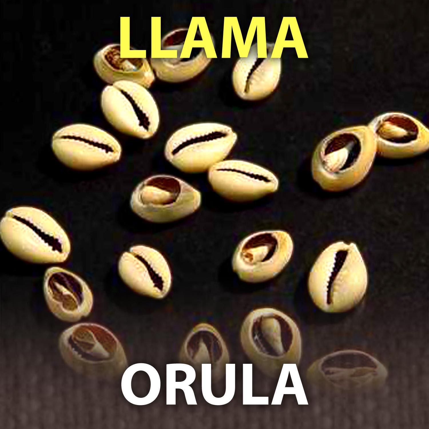 Abbilona Digital - Orula Llama