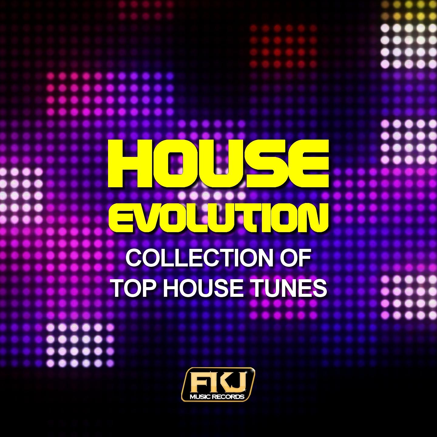 Постер альбома House Evolution