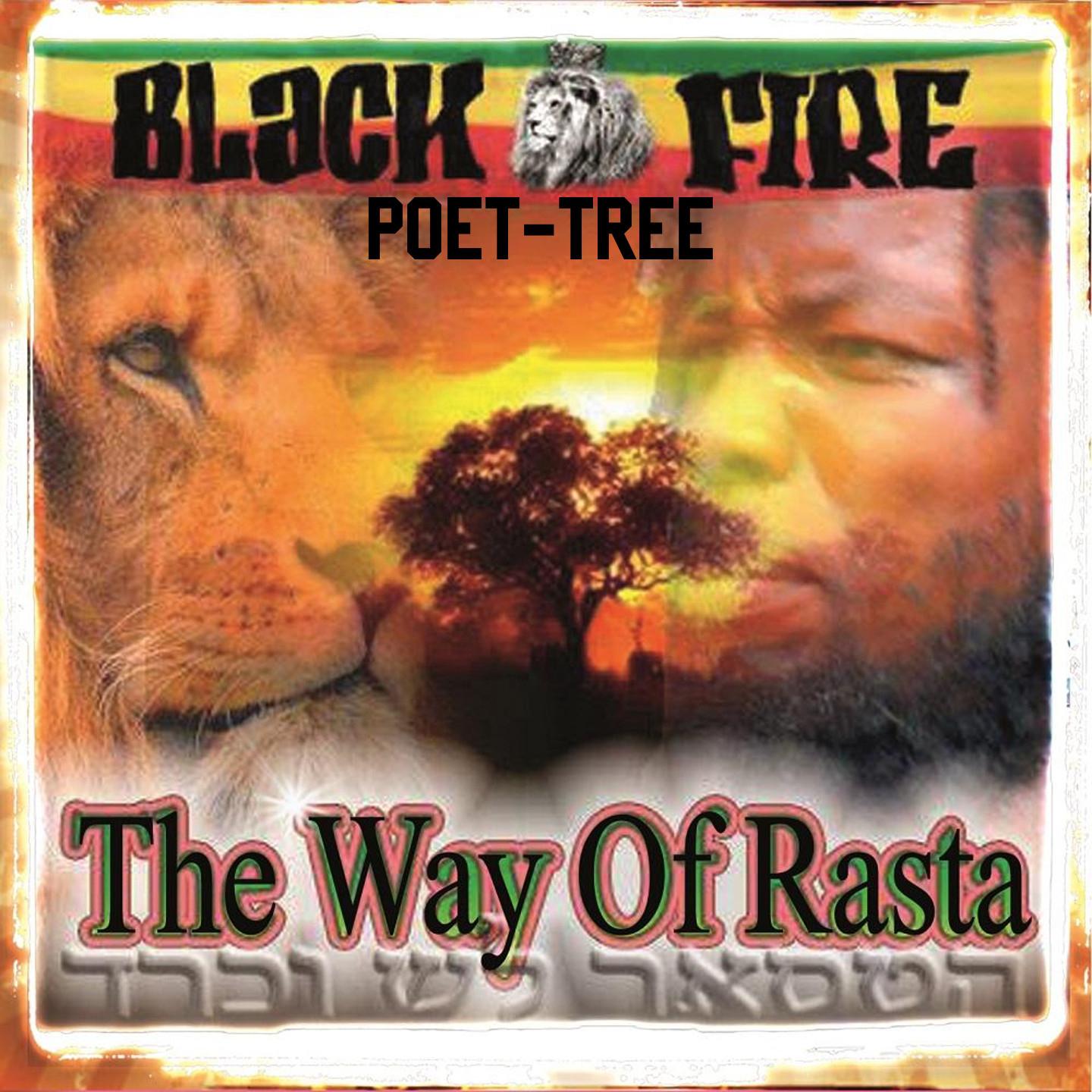 Постер альбома The Way of Rasta