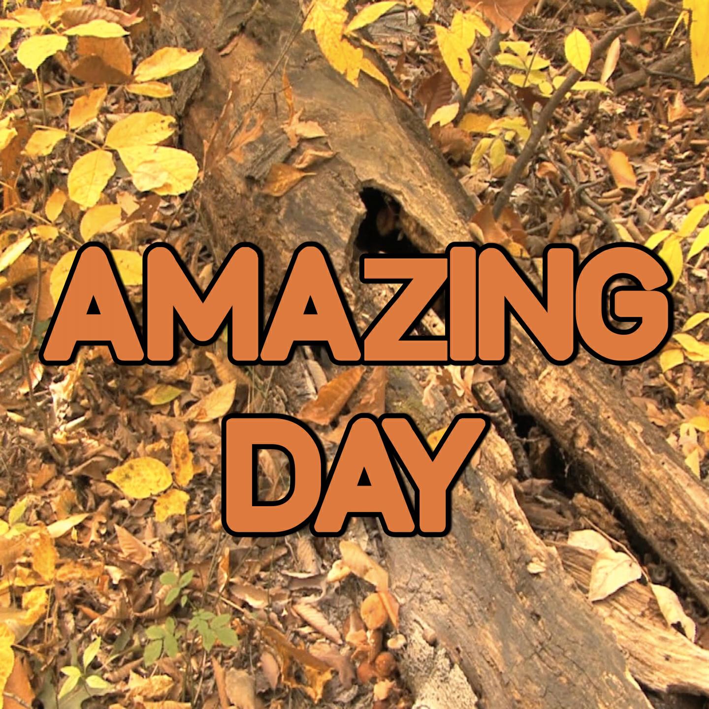 Swift Hits - Amazing Day - Tribute to Coldplay (Instrumental Version)