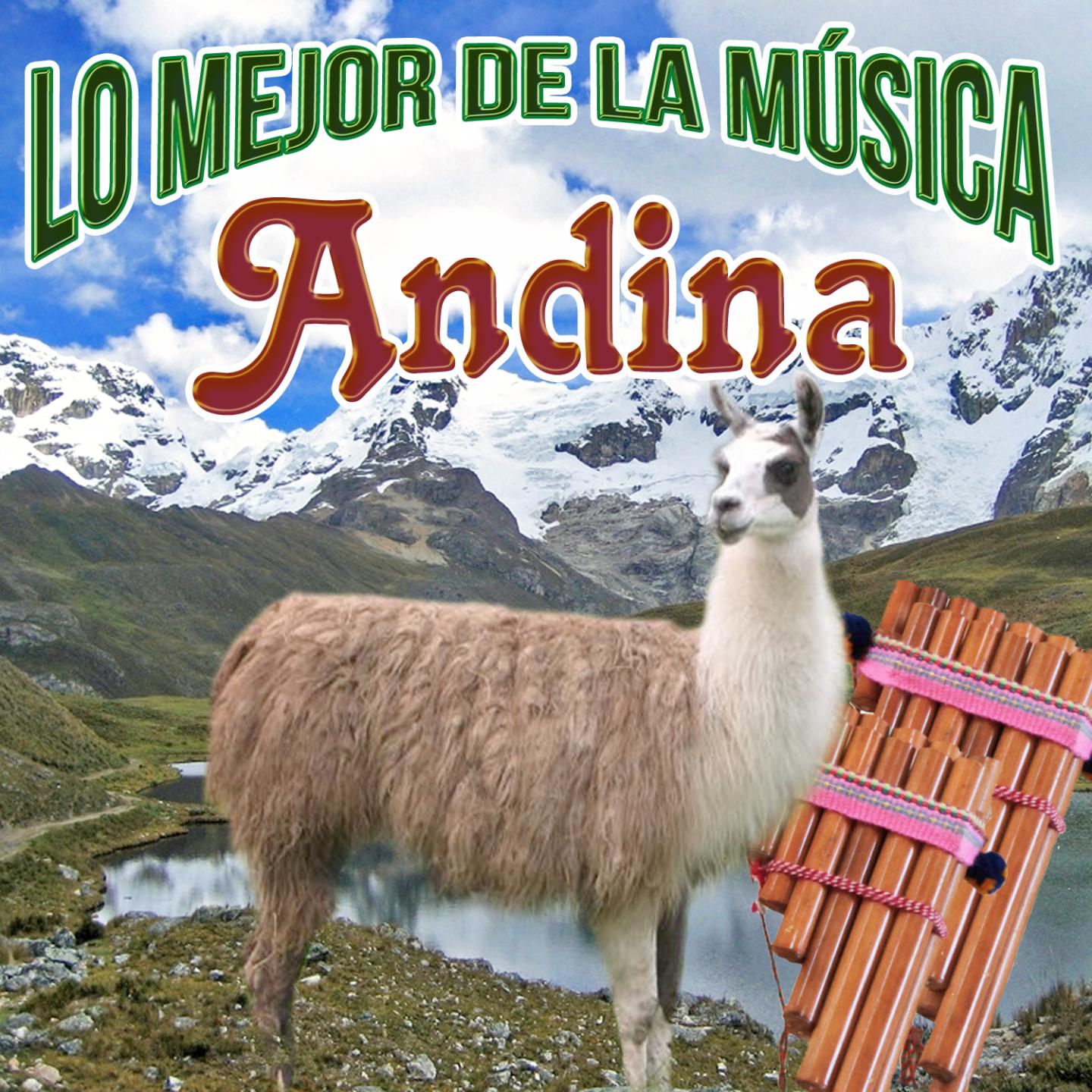 Постер альбома Lo Mejor De La Música Andina