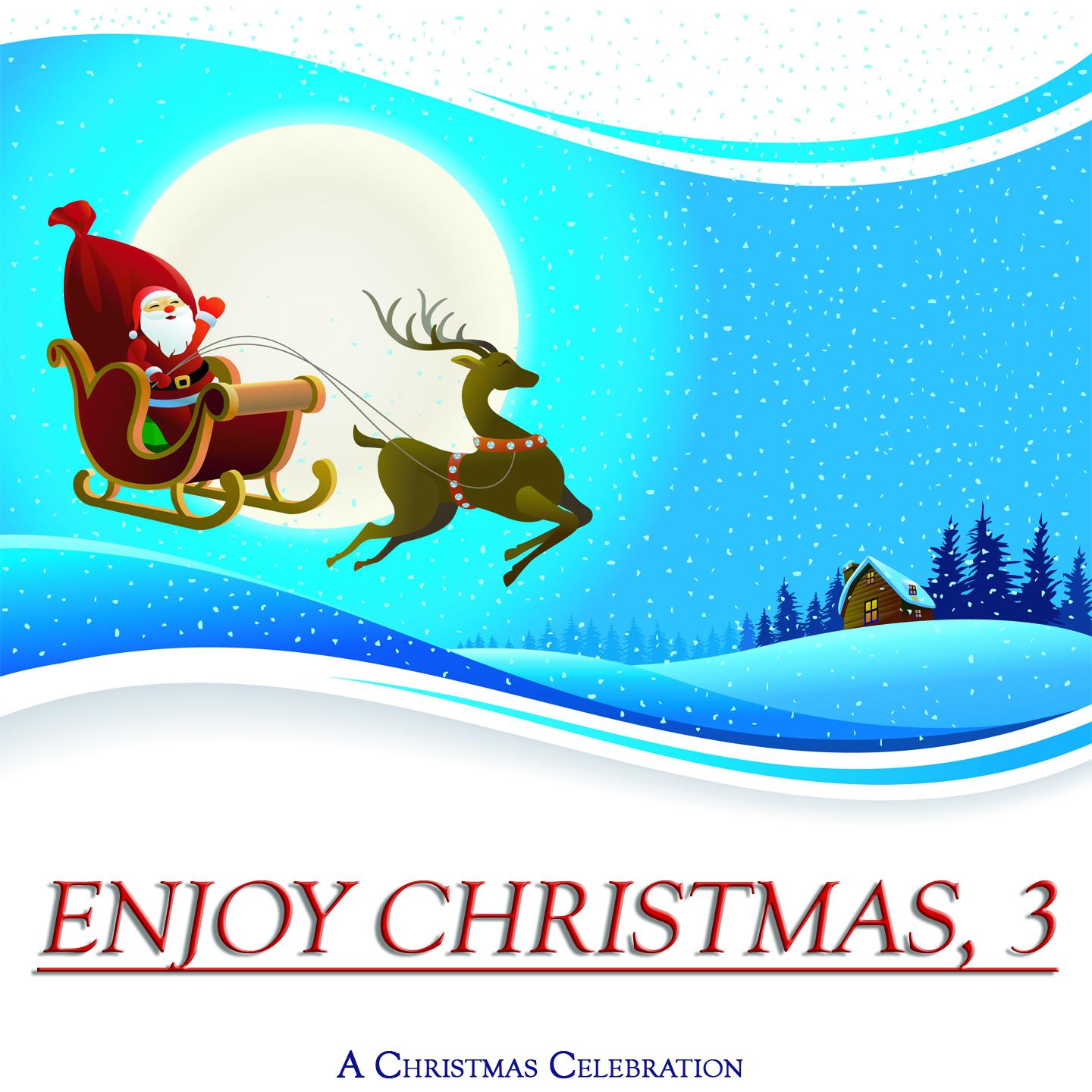 Постер альбома Enjoy Christmas, Vol. 3 (A Christmas Celebration)