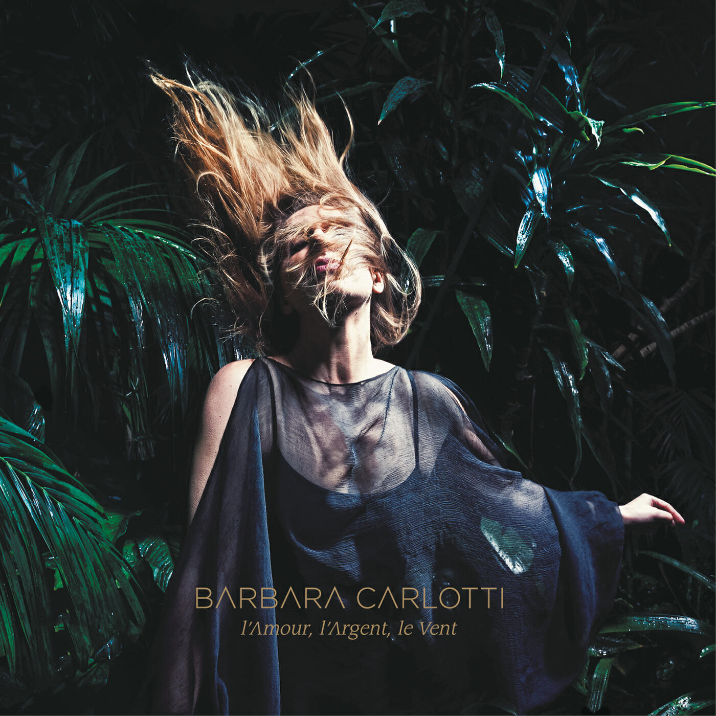 Barbara Carlotti - L'amour, l'argent, le vent