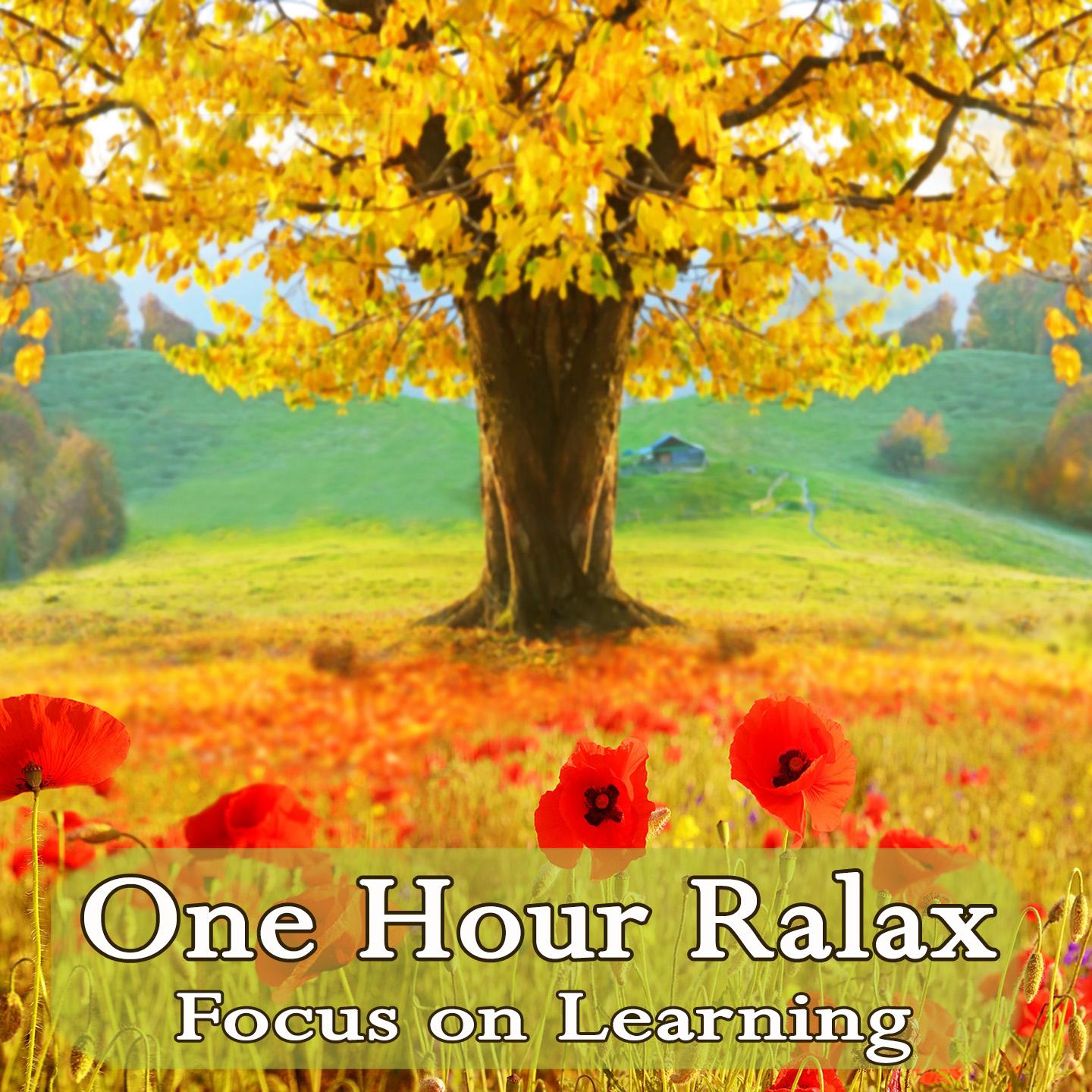 Постер альбома One Hour Relax