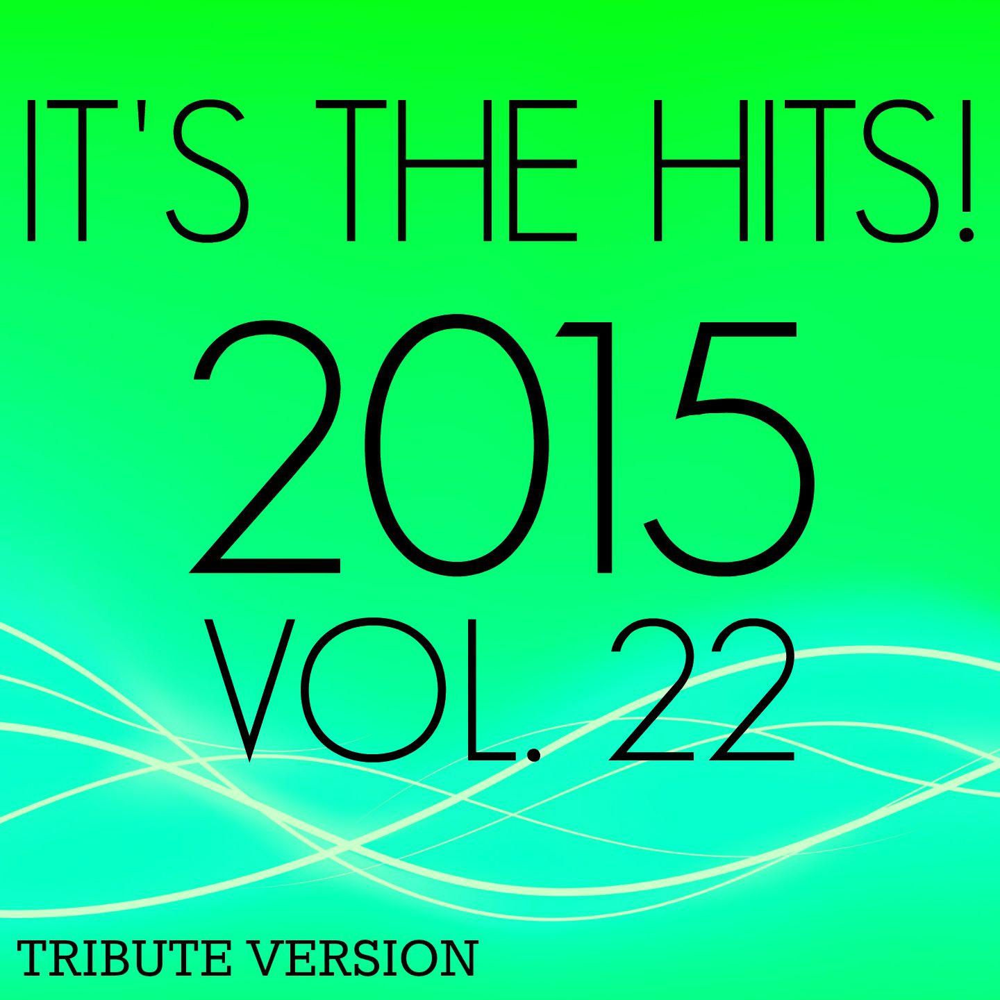 Постер альбома It's the Hits! 2015, Vol.22